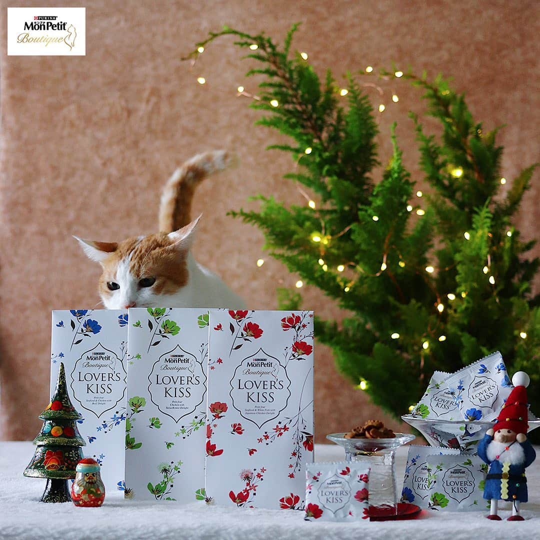 Purina Mon Petit Japanのインスタグラム：「すてきなおやつがあるぞ🐾﻿ これはクリスマスプレゼントかな～？﻿ ﻿ 「モンプチ ブティック ラバーズキッス」は華やかな装いでパッケージにも目を引かれますよね👀✨﻿ ﻿ 味はネコちゃんも大好きな3種類﻿ 💐魚介とチキンのプチフール 牛肉添え﻿ 💐白身魚と海の幸のプチフール 国産鶏添え﻿ 💐若鶏のプチフール 焼津産かつお節添え﻿ ﻿ こだわりの詰まった味は、あなたと大切なネコちゃんとの絆を深めるのにぴったりです💕﻿ ﻿ "モンプチ ブティック ラバーズキッス"で特別なおやつタイムを演出してみてはいかがですか？✨﻿ ﻿ ＼画像をタップすると楽天で購入できます／﻿ -------------------------------------﻿ ﻿ #モンプチ #モンプチブティック #ラバーズキッス #キャットフード #にゃんすたぐらむ #ねこすたぐらむ #にゃんだふるライフ #ねこ部 #猫部 #にゃんこ部 #猫好き #猫大好き #猫がいる生活 #猫のいる暮らし #猫の気持ち #猫用品 #猫と暮らす #猫写真 #猫のおやつ #おやつ #ギフト #ギフトにオススメ #贈り物 #プレゼント #クリスマス #クリスマスギフト #クリスマスプレゼント #クリスマス準備 #クリスマス仕様 #クリスマス🎄」