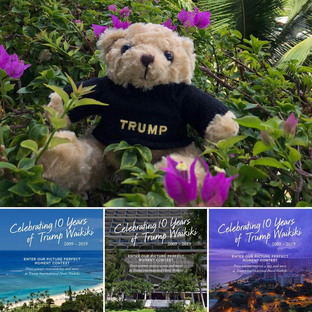 Trump Waikikiさんのインスタグラム写真 - (Trump WaikikiInstagram)「To celebrate 10 Years of Trump Waikiki, we are having the Picture Perfect Moment Contest. All you have to do is share a photo of one of your most memorable moments from your visit to Trump International Hotel Waikiki. The grand prize is a ‪two-night‬ stay with daily breakfast for two at #TrumpWaikiki. Click the link in our bio to enter.  Terms and conditions apply. RULES 1. Post entries by ‪November 30, 2019 at 11:59 p.m. HST‬. 2. Photo must be owned by the person submitting. 3. Must be 18 years or older to enter. 4. Winner will be chosen at random. 5. Contest not affiliated with Instagram. 6. Winner to be announced ‪Friday December 6, 2019‬. HOW TO ENTER 1. Follow us on Instagram @TrumpWaikiki. 2. Upload your photo of Trump Waikiki and tag us in your caption with the hashtag #10YearsOfTrumpWaikiki. トランプ・ワイキキ10周年を記念して、フォトコンテストを行います。 当ホテルにご滞在中に撮影されたお写真をご投稿ください。1位に選ばれた方には、「トランプ・ワイキキ朝食付き2泊」を1組2名様にプレゼントいたします。締め切りは2019年11月30日。プロフィールのリンクからご投稿ください。 http://bit.ly/10yrsTrumpWaikiki コンテストのルールと内容 １、投稿期限は2019年11月30日午後11時59分（ハワイ時間）です。 ２、投稿画像はご本人様が撮影されたものに限ります。 ３、参加は18歳以上に限ります。 ４、当選者はランダムに選ばせていただきます。 ５、当コンテストはインスタグラムとは提携していません。 ６、当選者は2019年12月６日に発表します。 投稿の仕方 １、インスタグラムで@TrumpWaikikiをフォロー ２、画像にハッシュタグ#10YearsOfTrumpWaikikiをつけて投稿」11月28日 18時14分 - trumpwaikiki