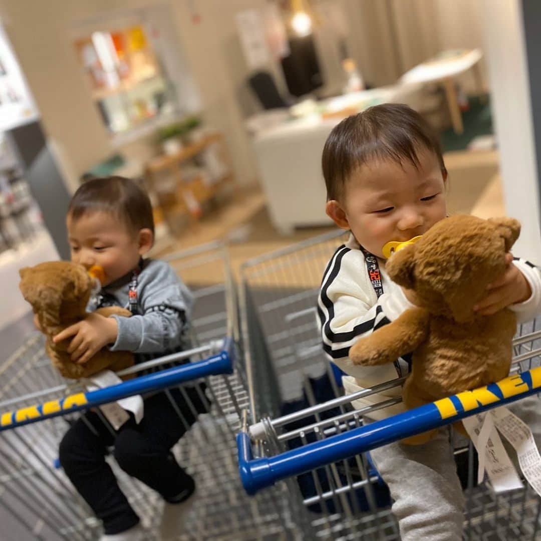 中町綾さんのインスタグラム写真 - (中町綾Instagram)「幼馴染の双子ちゃんがひび成長してておばさん嬉しい🥺❤️ ぬいぐるみ持ってる姿可愛すぎて買ってあげちゃったよ、なんでも買ってあげるよ😊😊😊😊 ・ ・ ・ 私の地元若ママ多くてみんな子供いるの。癒される。 早く自分も子供ほしい😌 その前に彼氏😃」11月28日 18時21分 - ayanakamachi