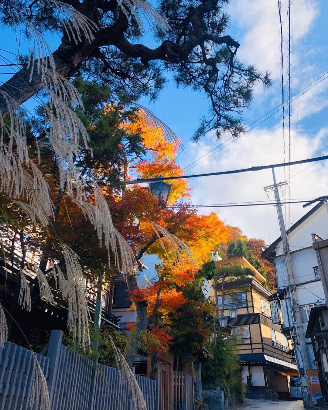 こにわのインスタグラム