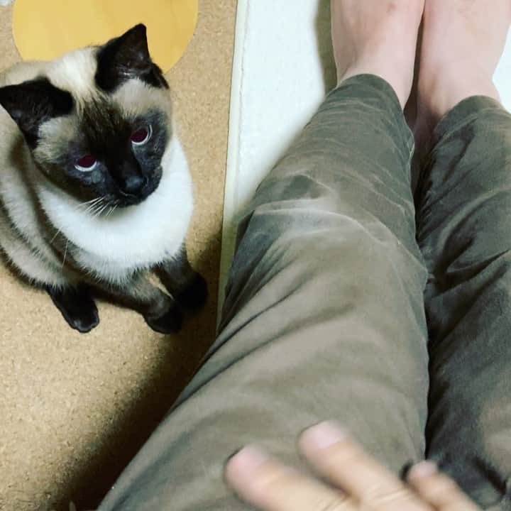 MAKO0MAKO0のインスタグラム