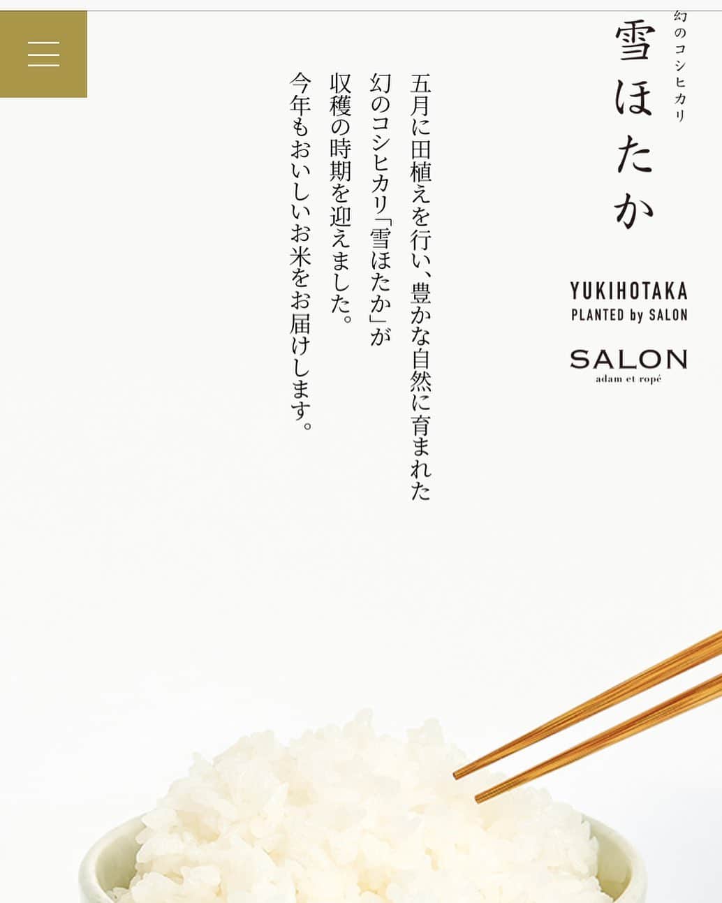 ワタナベマキさんのインスタグラム写真 - (ワタナベマキInstagram)「お米「雪ほたか」。いつもは決まったお米を食べていますが、近頃は日本全国で、新しい銘柄がたくさんあります。 その中のひとつ、「雪ほたか」について、webでご紹介させていただきました。 「雪ほたか」に合わせる究極のものとして、「延楽梅花堂」の杉田梅の梅干しをご紹介させていただいております。 12月31日まで、銀座、新宿、吉祥寺にある「SALON」にて、杉田梅の梅干しのおにぎりをお召し上がりいただけます。 「雪ほたか」の優しい甘みと、キリッ濃くて酸っぱい梅干しのおにぎり。 ぜひ、この機会にお召し上がりいただけましたら嬉しいです。 詳しい場所は、webにてご確認ください。 上記のプロフィールから飛べます。 #salonadametope  #雪ほたか  #幻のコシヒカリ」11月28日 18時43分 - maki_watanabe