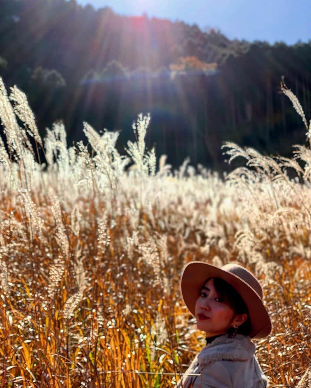 渡辺由布子さんのインスタグラム写真 - (渡辺由布子Instagram)「🌾 ・ 11月の暖かな日差しを浴びて、キラキラと黄金色に輝く#仙石原 のススキ。  何度も訪れたことがあるけれど、誰とどんな気持ちでここにいるかどうかで、こんなにも見える景色が変わるなんて。ね。  #箱根仙石原すすき平原  #すすき  #箱根旅行  #温泉旅行  #日本再発見  #猿岩石  #恋垢  #pampasgrass  #weekendgetaway #birthdaytrip #japantrip 📍 #Hakone #Sengokubara #🇯🇵」11月28日 18時54分 - watanabe_yuko