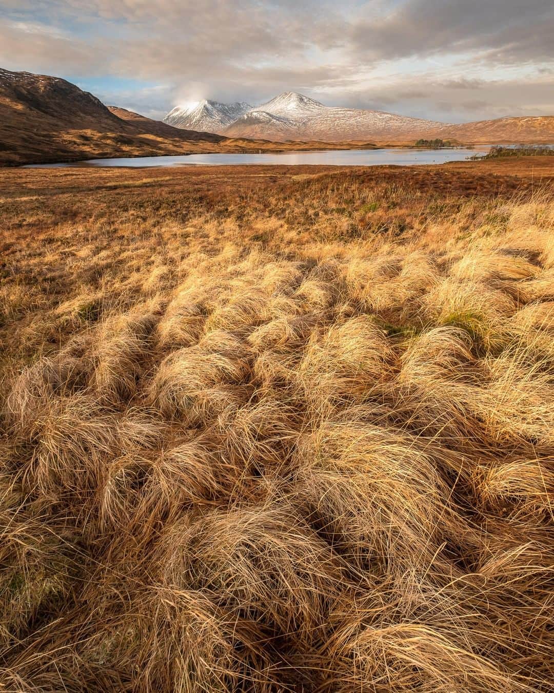 Fujifilm UKさんのインスタグラム写真 - (Fujifilm UKInstagram)「A delicate approach to post-production ensured that @nigel.danson kept a painterly feel to this image of the Scottish Highlands. Nigel particularly loves how the tufts of grass appear to mimic the valleys and mountains in this scene, making it one of his personal favourite shots!  FUJIFILM X-T2 | XF10-24mmF4 R OIS | F6.4 | ISO 100 | 1/100 sec  #Fujifilm #XSeries #XT2」11月28日 19時15分 - fujifilmuk