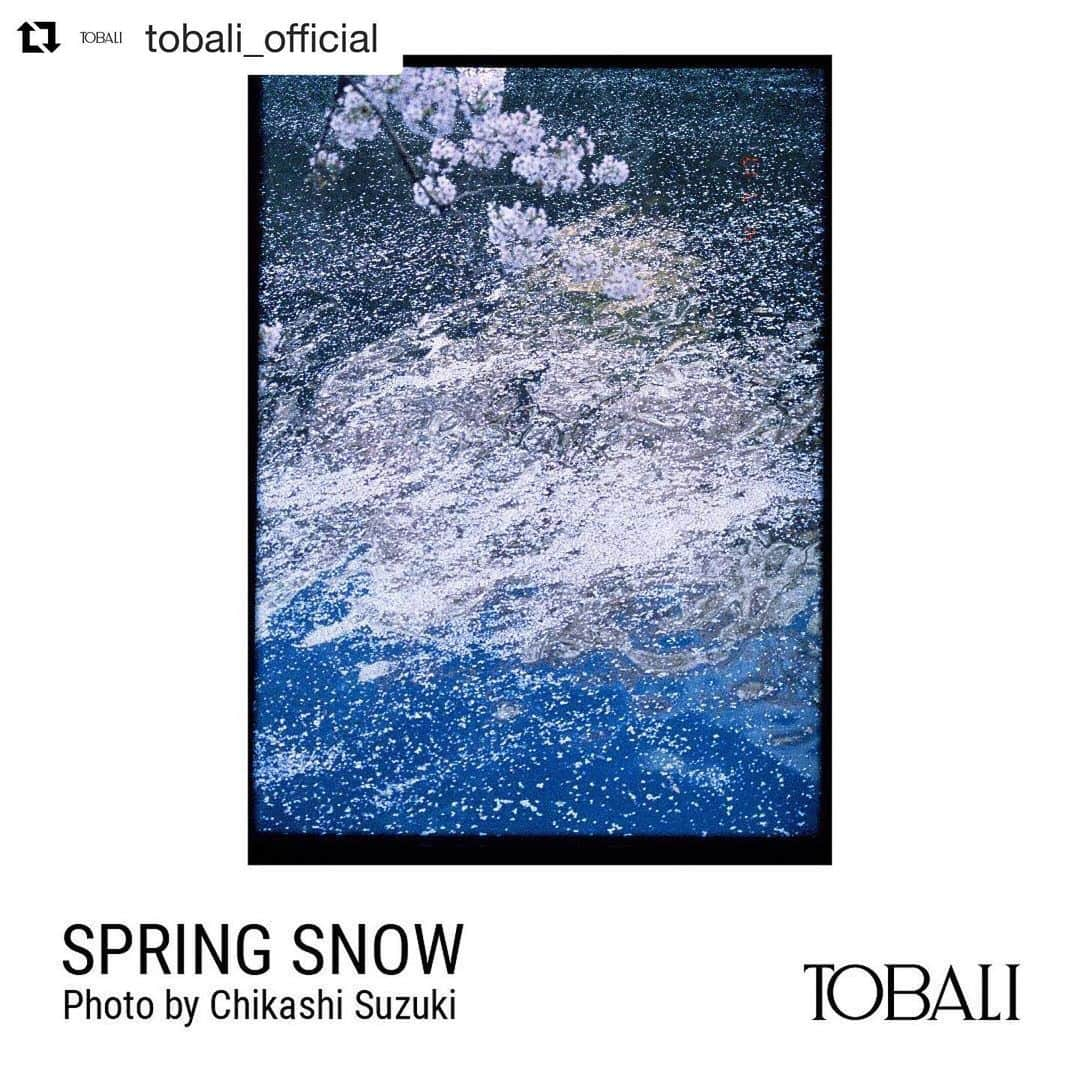 Sisterさんのインスタグラム写真 - (SisterInstagram)「-「TOBALI」POP UP SHOP at Sister 11/30(sat)-12/8(sun)- 11/30(土)から12/8(日)の期間中、Sister店内にてフレグランスブランド「TOBALI」のPOP UP SHOPを開催いたします。 期間中は全ラインナップお買い求め頂けます。 お買い上げのお客様に数量限定でノベルティバッグを差し上げます。 また、ギフトラッピング(有料)も承っておりますのでお気軽にお申し付けください。 店頭では香りもお試しいただけますので是非この機会にお試しくださいませ。 . 「TOBALI POP UP SHOP」 date : 11/30(sat)-12/8(sun) address : 〒150-0046 東京都渋谷区松濤2-13-10 1F . #Repost @tobali_official with @get_repost ・・・ SPRING SNOW - EAU DE PARFUM﻿ ﻿ INSPIRATION﻿ ﻿ The kabuki actor the ultimate male performer of female roles, devoted himself completely to depicting the true form of women. ﻿ ﻿ Possessed of an illusory grace and calmness, he brilliantly depicted the beauty of women in a way that transcended gender. ﻿ ﻿ World-renowned novelist Yukio Mishima praised his beauty, and together they created works that will remain forever in history. ﻿ ﻿ Even after becoming a star, he never became proud, and treated people extremely gently and politely while quietly handling himself. ﻿ ﻿ This earned much respect as a man of character. ﻿ ﻿ Having lived his life on the stage, devoted to an image of beauty transcending that of gender, he finally passed away on an illusory day very much befitting the life he had led; with the spring cherry blossom in the full bloom in the garden amid a powdered scattering of unseasonable snow.﻿ ﻿ ﻿ 女性のみを演じる俳優として真の女性を表現した、歌舞伎界を代表する女形の最高峰、歌舞伎役者。﻿ ﻿ 幻想的な＜優美＞さと、静かな＜冷静＞さを持ち、性を超越して女性の美しさを見事に表現した。﻿ ﻿ 世界的な作家“三島由紀夫”はその美しさを称賛し、共に歴史に残る作品を残した。スターとなった後も自身に奢ることなく、人に対し非常に柔らかく丁寧な言葉と物腰で冷静に立ち振る舞い、人格者としても多くの尊敬を集めた。﻿ ﻿ 性を超越した美しさで舞台に生涯を通して立ち続け、春の日に満開の桜が庭に咲き誇る中、季節はずれの粉雪が舞い散る彼の存在を象徴するような幻想的な日に、その生涯を閉じた。﻿ ﻿ ﻿ #chikashisuzuki #鈴木親 ﻿ #tobali #tobali_official #トバリ ﻿ #三島由紀夫 #yukiomishima #春の雪﻿ #springsnow #鬱金桜 #白檀 #sandalwood ﻿ #歌舞伎役者 #鎌倉文学館 #中村歌右衛門﻿ #hiddenbeauty #artparfum﻿ ﻿」11月28日 19時21分 - sister_tokyo