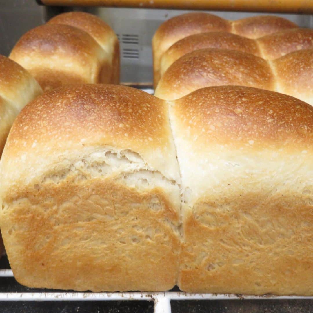 魔女菅原のグルメインスタ