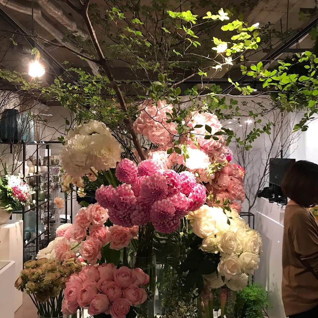 芦田桂子さんのインスタグラム写真 - (芦田桂子Instagram)「昨夜はモデル仲間達と @jardinduillony の新店舗移転パーティへ行ってきました💐🥂 ・ 思わず『うわぁ〜💕』と声が漏れてしまうほど 店内は華やかにアレンジされた花々で埋め尽くされていました✨さすがタニ子❣️ 美しい花々を観てると心安らぎます☺️ ・ 何年か前のアイロニー写真集に私と花コラボの作品を撮ってくれたオーナーでフローリストの　@atsushi_taniguchi  くん ・ 神戸芦屋から東京青山 そして花の本場、PARISパリ 🇫🇷出店されそのパワーは本当に素晴らしい👏 人柄もとっても気さくで誰からも愛される関西弁のおっちゃんです☺️ ・ それにしても昨夜はみんなに会えて楽し嬉しかったなぁ❤️ 皆さんも是非、足を運んでみてくださいね💐 ・ #アイロニー  #アイロニー青山店  #花のアレンジメント  #花束アレンジ  #アイロニーレッスン  #アイロニメイツ #新店舗移転オープン  #おめでとうございます  #flowerarrangement #flower  #💐」11月28日 11時17分 - keiko_ashida