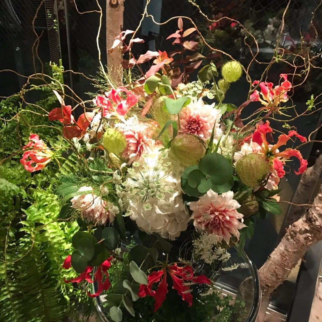 芦田桂子さんのインスタグラム写真 - (芦田桂子Instagram)「昨夜はモデル仲間達と @jardinduillony の新店舗移転パーティへ行ってきました💐🥂 ・ 思わず『うわぁ〜💕』と声が漏れてしまうほど 店内は華やかにアレンジされた花々で埋め尽くされていました✨さすがタニ子❣️ 美しい花々を観てると心安らぎます☺️ ・ 何年か前のアイロニー写真集に私と花コラボの作品を撮ってくれたオーナーでフローリストの　@atsushi_taniguchi  くん ・ 神戸芦屋から東京青山 そして花の本場、PARISパリ 🇫🇷出店されそのパワーは本当に素晴らしい👏 人柄もとっても気さくで誰からも愛される関西弁のおっちゃんです☺️ ・ それにしても昨夜はみんなに会えて楽し嬉しかったなぁ❤️ 皆さんも是非、足を運んでみてくださいね💐 ・ #アイロニー  #アイロニー青山店  #花のアレンジメント  #花束アレンジ  #アイロニーレッスン  #アイロニメイツ #新店舗移転オープン  #おめでとうございます  #flowerarrangement #flower  #💐」11月28日 11時17分 - keiko_ashida