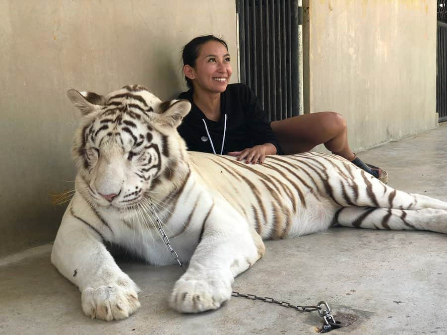 高井直子のインスタグラム