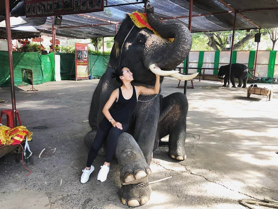 高井直子さんのインスタグラム写真 - (高井直子Instagram)「🇹🇭 • 🐘にも乗ったりして。 (2回も) • #旅の記録 #thailand」11月28日 12時23分 - naokotakai