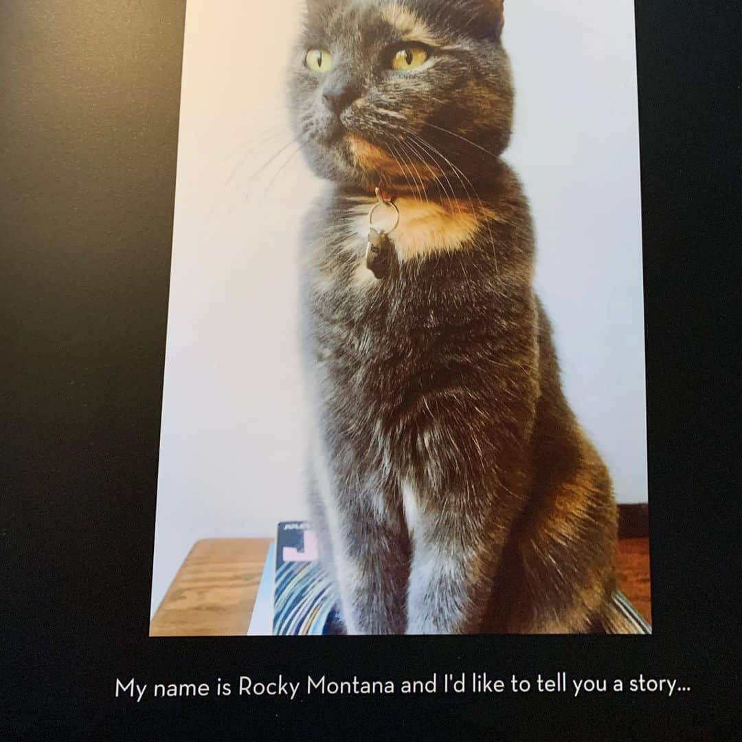 アリソン・ピルさんのインスタグラム写真 - (アリソン・ピルInstagram)「Here’s to slo-mo #henrychirpa on a beach, a husband ( @thejoshualeonard ) who makes a photo book from the POV of a dead cat, and friends who just ‘get me’. Thank you for all the kind birthday wishes, all. 34 seems pretty neato so far.  And have an excellent thanksgiving. With some tofurkey or field roast deliciousness. And a donation to @farmsanctuary who save some cool turkey friends.」11月28日 13時18分 - msalisonpill