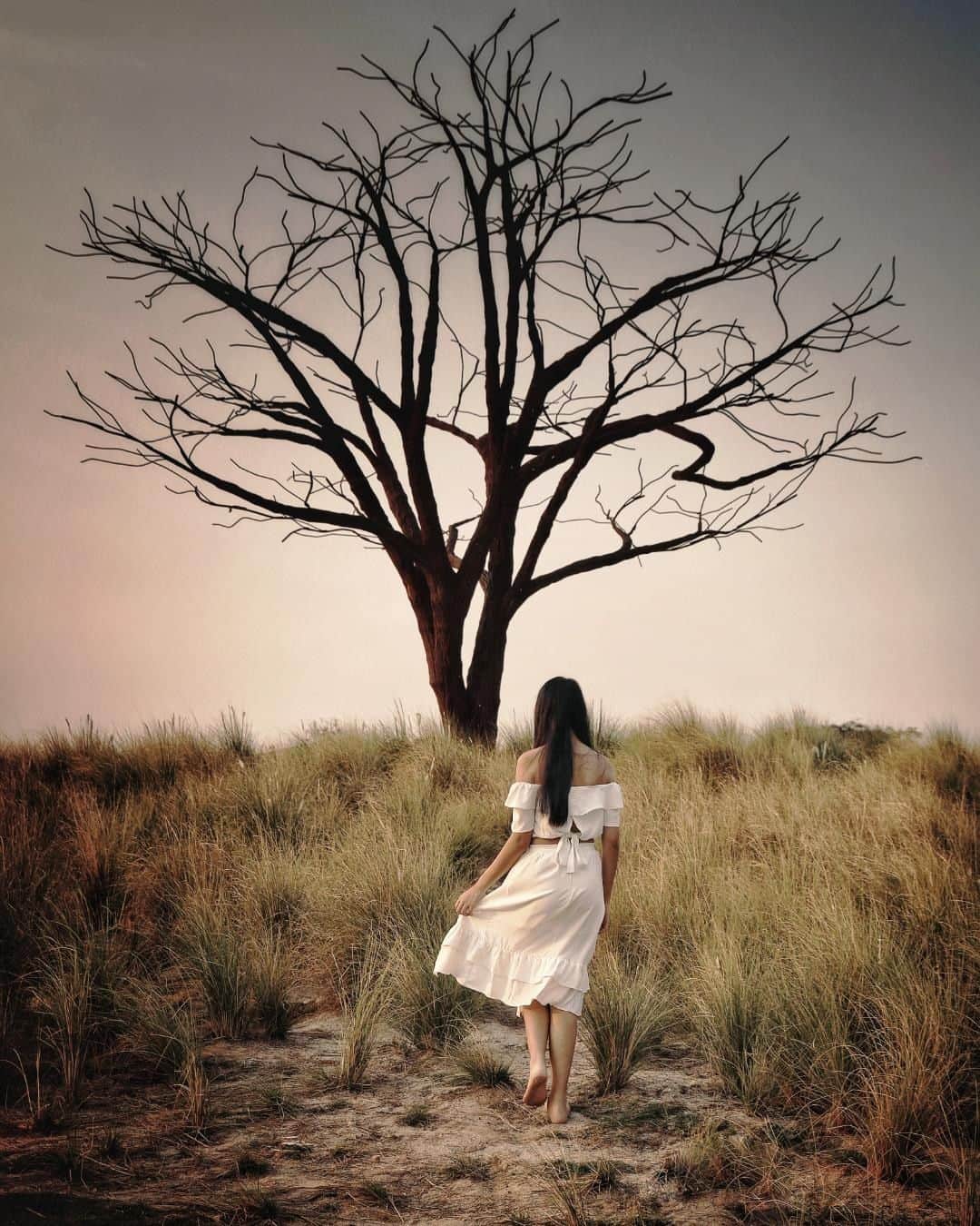 Canon Asiaのインスタグラム：「“The lone tree looks like a bare tree from afar but it is actually a sculpture made from recycled iron bars recovered from pathways of old parks. I am constantly in search for moments many refer to as the ‘snapshot aesthetic’. My fascination with the duality of individuals drives me to capture moments in situ.” ⁣ ⁣📷 Image by @photographyholic shot using the Canon EOS R | Canon RF 24-105mm f/4L IS USM | f/6.3 | 1/250s | ISO 100 | 42mm ⁣ ⁣Want your photos to be featured too? Tag them with #canonasia or submit them on My Canon Story, link in bio! ⁣ ⁣#canonasia #photography #tree #street #streetphotography #eosr #snapshotaesthetic #igsg #singaporephotography」