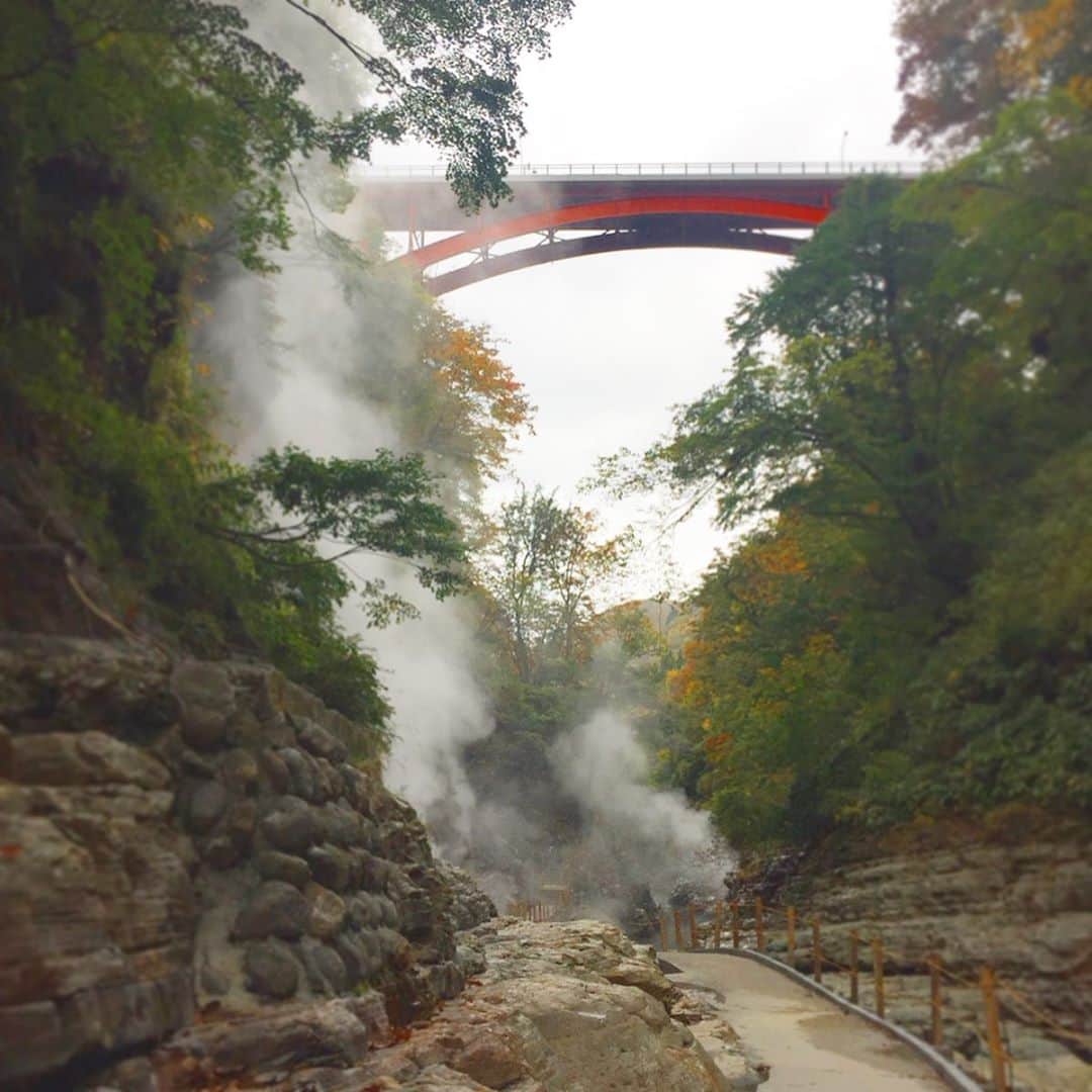 シュアン（施鈺萱）さんのインスタグラム写真 - (シュアン（施鈺萱）Instagram)「#推薦日本好去處 #秋田女子旅 #二日目 ・ #小安峽大噴湯 這裡是小安峽地區最有名的觀光景點 一座紅色的河原湯橋點綴了秋色 60公尺的V字谷 溫泉噴出的蒸氣，有種可以回到過去的感覺(笑) 大自然的力量真的是嘆為觀止!!! ・ #川連漆器傳統工藝館 # 蒔繪體驗 日本很有名的傳統工藝， 第一次體驗漆器 蒔繪體驗！ 看似簡單，其實要畫得好看超難 但是自己畫得別有風味，更是獨一無二的土產 撒上漸層金粉更美 工藝館展示的各種傳統工藝 自己畫完之後更能體會它的難處呢 ・ #川原毛地獄 日本的三大靈地之一！ 硫磺礦山造成白白的一片 真的是能感覺大自然的奇妙！ *小提醒:冬天不開放 ・ ・ ・ 推薦交通:增田小安線 非常方便的接駁巴士喔(有中文網頁) https://komachi-shuttle.com/hantai/ ・ #秋田 #日本旅行 #溫泉旅行 #akita #施鈺萱 #漢娜在翻譯 #nina #台灣女子旅 ・ ——————————- ・ #日本観光スポットオススメ #秋田女子旅 #二日目 ・ #小安峡大噴湯 小安峽区では一番有名な観光スポット 赤色の河原湯橋が素敵です 60メートルのV字谷 熱湯と蒸気が激しく噴出している 本当に凄かった！！ ・ # 川連漆器伝統工芸館 # 蒔絵体験 日本で有名な伝統工芸 初めましての蒔絵体験 簡単に見えるけど、実はすごく難しかった！ でも自分が描いた特別なお土産だし キラキラしてる金色の粉もすごく日本っぽい 工芸館でいろんな食器を展示していて 蒔絵は本当に難しいとさらに感じるね！ ・ #川原毛地獄 日本三大霊地 酸性火山ガスの漂白作用で真っ白！ 大自然ってすごいね！ *冬季閉鎖なので、ご注意ください ・ オススメ交通手段:こまちシャドル 非常方便的接駁巴士喔(有中文網頁) https://komachi-shuttle.com/ ・ #秋田 #日本旅行 #溫泉旅行 #akita #施鈺萱 #漢娜在翻譯 #nina #台灣女子旅」11月28日 19時40分 - ts_hsuan