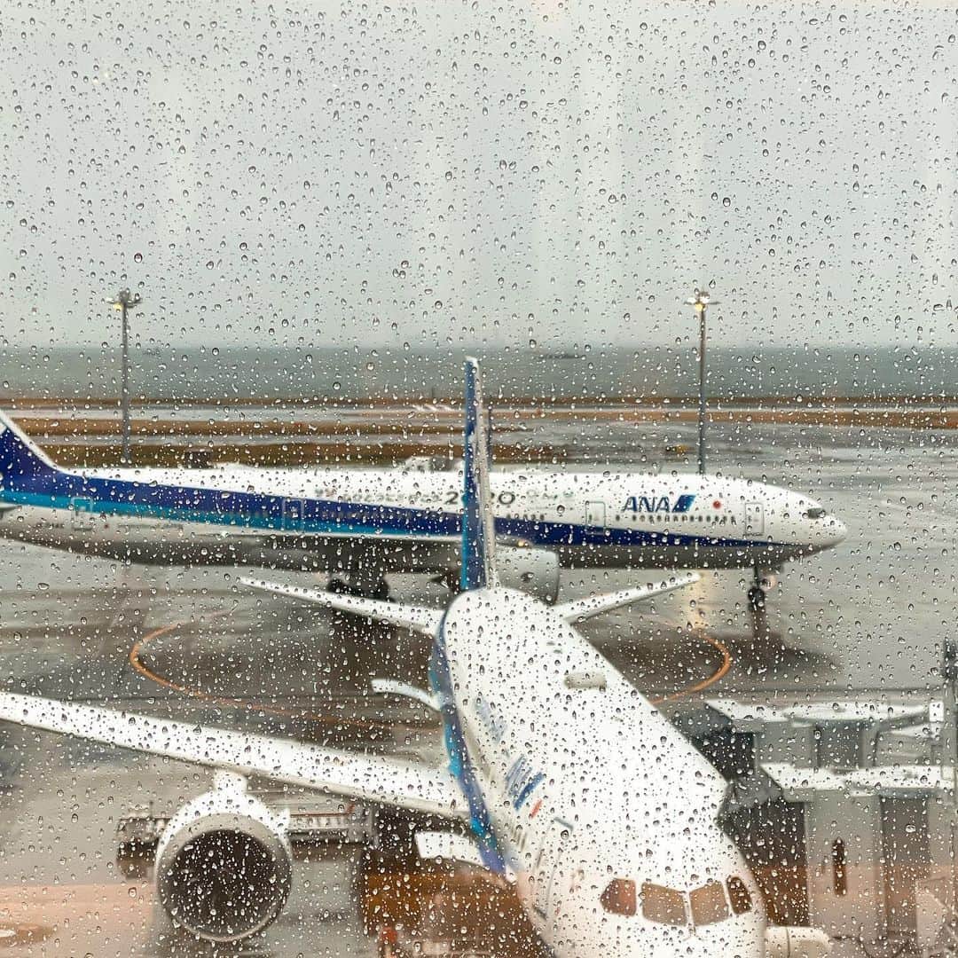 パパイヤ鈴木さんのインスタグラム写真 - (パパイヤ鈴木Instagram)「天気悪し！ #ゆれそう😱 #羽田空港」11月28日 14時17分 - papaya_suzuki