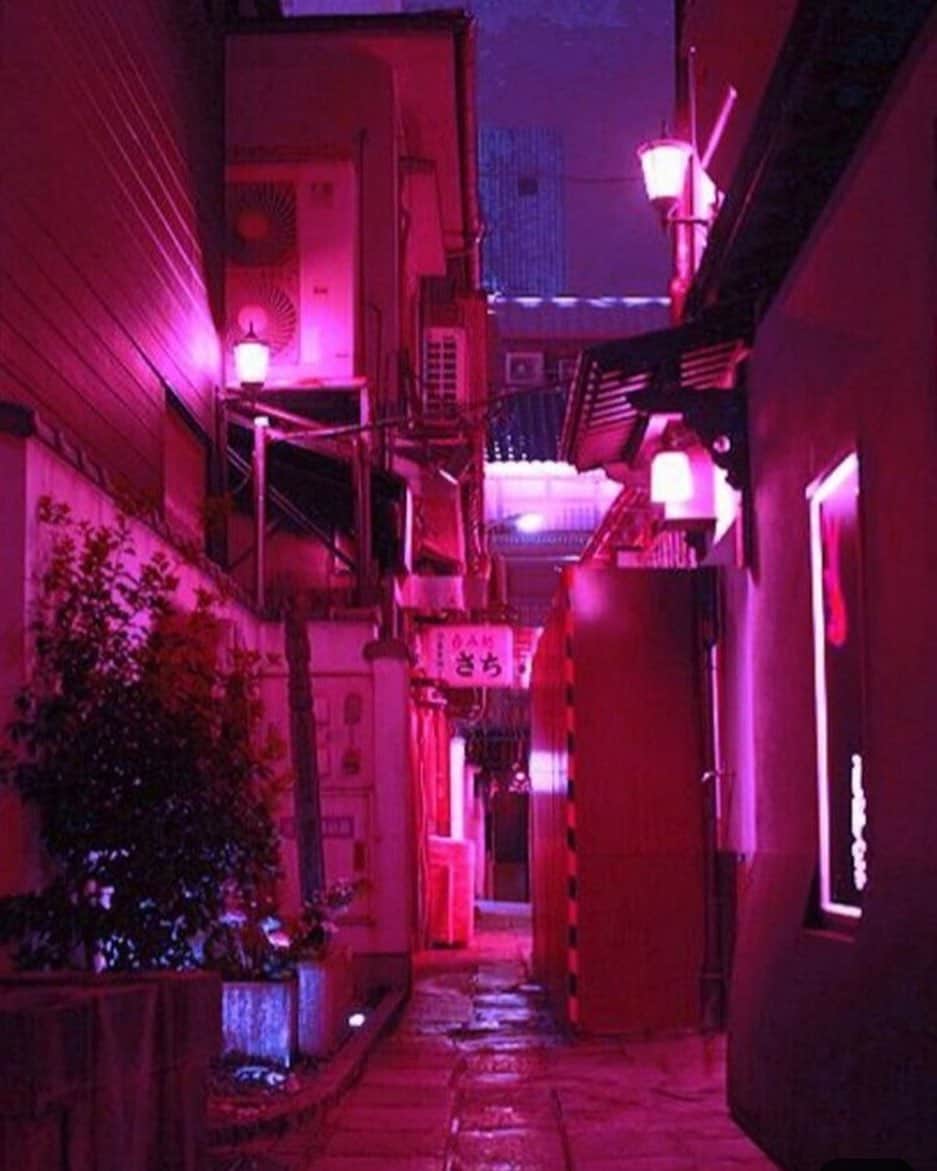 miniのインスタグラム：「HELLO MY PiNK WoRLD🧠💓💜 #pink #pinkworld #ネオトーキョー #neonsign」