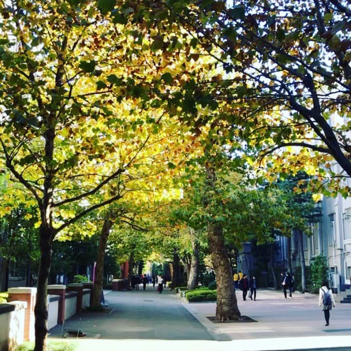 立教大学のインスタグラム
