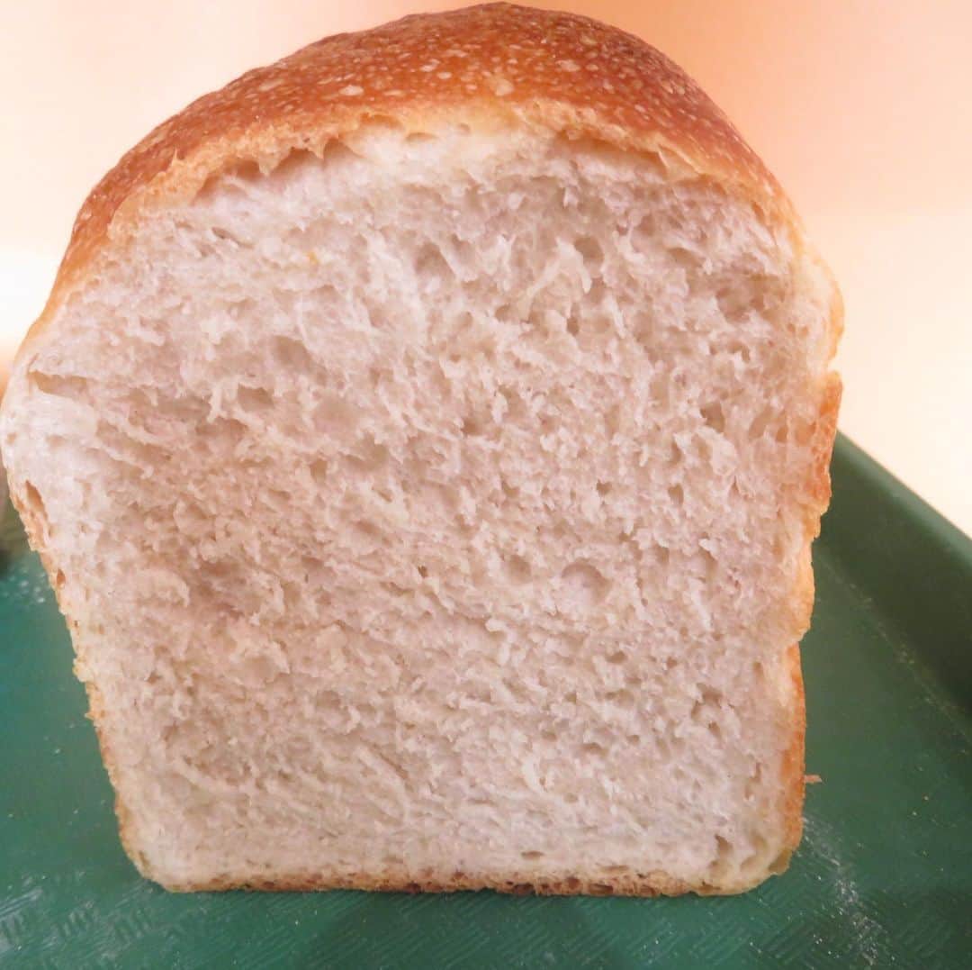 魔女菅原のグルメインスタ