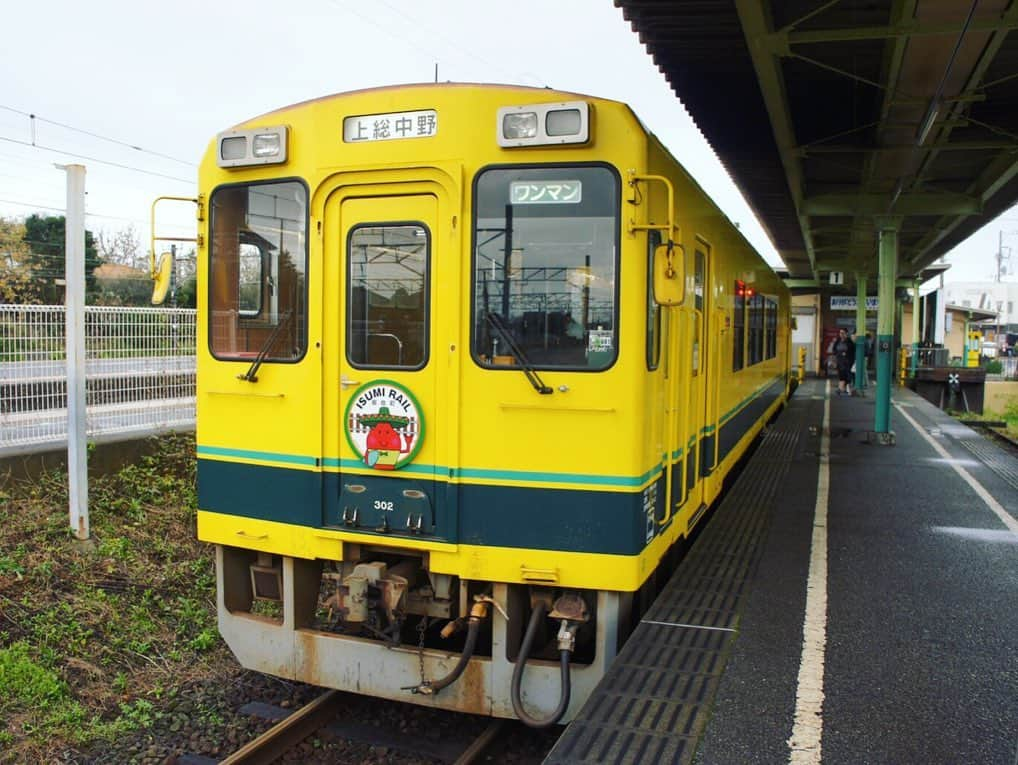 すずきあすかさんのインスタグラム写真 - (すずきあすかInstagram)「日本旅行×いすみ鉄道 「いすみ鉄道グルメ列車 美味しい料理と鉄道のマリアージュ おとなのピクニック」🎶 . かつてたくさんの車両があったキハ28は、廃車を免れたこの1両しか現存してないんだって！ いつまで現役で走れるのかは車掌さんもら未知数… ノスタルジックな国鉄時代にタイムスリップしたい方はお早めに🚃 . 雨の日の車窓も癒されるね😌✨ . . #いすみ鉄道 #大多喜 #おとなのピクニック #ローカル鉄道 #PR #ピクニック #鉄道 #いすみ #風景 #景色 #癒し #カメラ女子 #鉄子 #ノスタルジック #レトロ #グルメ #日本の風景 #旅好きな人と繋がりたい #風景写真好きな人と繋がりたい #おしゃピク #instagood #キハ28 #千葉グルメ #がんばろう千葉 #自然 #日帰り旅行 #女子旅 #タビジョ#あすにゃんグルメ #あすにゃん旅行」11月28日 15時09分 - suzukiasukadesu