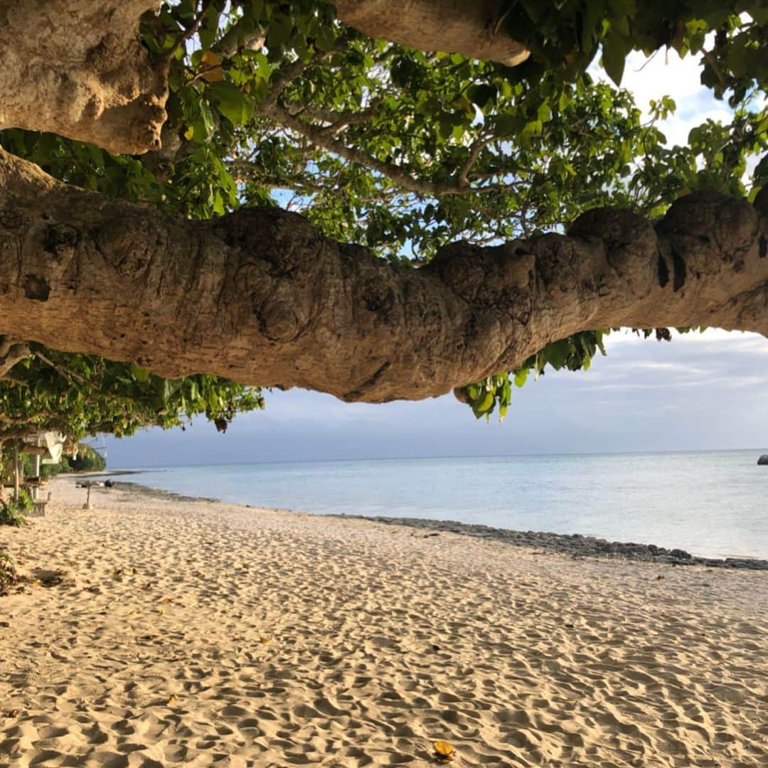 片桐優妃さんのインスタグラム写真 - (片桐優妃Instagram)「#竹富島 きた#🌴#🐚 . #冬の沖縄 #沖縄初上陸 #ANA #旅OL #カイジ浜 #星砂の浜 #沖縄 #okinawa」11月28日 15時11分 - yuki710