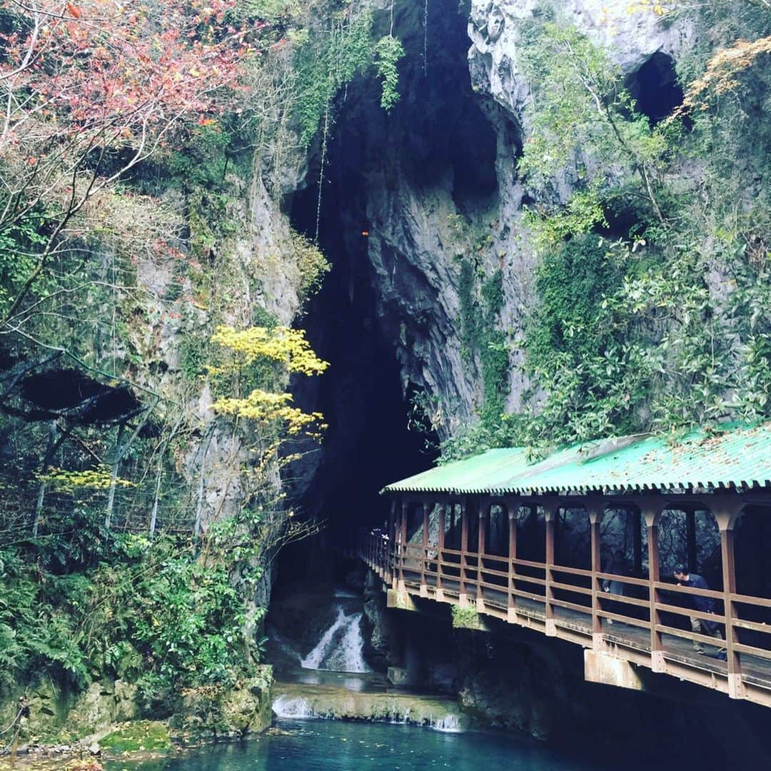 Man With A Missionさんのインスタグラム写真 - (Man With A MissionInstagram)「Akiyoshidou  Akiyoshi Cave and Akiyoshidai  秋芳洞 秋吉台  #yamaguchi #akiyoshidou #akiyoshidai」11月28日 15時50分 - mwamofficial