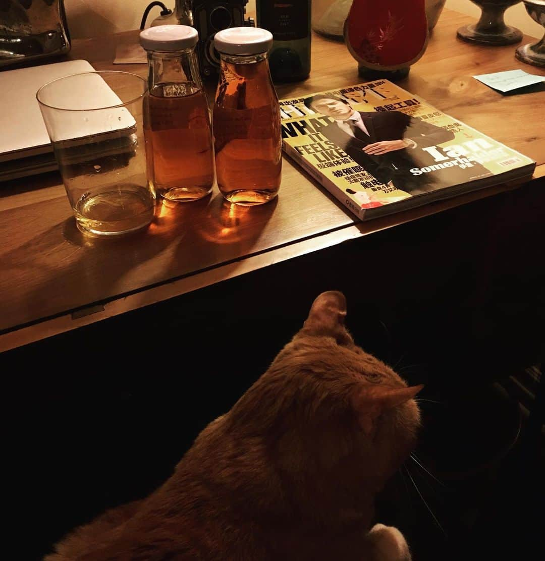 イアン・サマーホルダーさんのインスタグラム写真 - (イアン・サマーホルダーInstagram)「Yo @paulwesley - remember these little babies? Our 1st samples of OUR BELOVED BOURBON so long ago. I’m sitting here with Moke after an extremely long day reading, sipping our juice and giving tremendous thanks for all of our incredible opportunities together over the last 10 years. This one is a hit out of the park my brother and to all of you (of drinking age of course!) around the WORLD, we can’t wait to share this with you to create some new memories with the Salvatore Bros. Not on your screen but in your glass. Happy ThanksGiving everyone. Have a blessed day with family and friends. Next year at this time we will be toasting you all with this golden liquid that we’ve put so much of our spirit. The spirit of the brothers... 🥃」11月28日 16時25分 - iansomerhalder