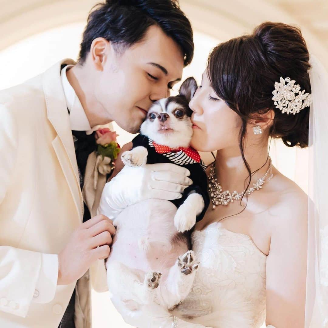 【公式】小さな結婚式さんのインスタグラム写真 - (【公式】小さな結婚式Instagram)「@petit.wedding をフォローしてね♩ #小さな結婚式 をつけてのお写真投稿も 大歓迎です♡ こちらの公式IGでリグラムさせていただきます＊ .  愛犬と一緒に素敵な結婚式を♡ おしゃれに着飾った姿が 愛くるしく、 とっても可愛いですよね* >>#小さな結婚式横浜店 . ——————— #小さな結婚式  #petitwedding #前撮り #結婚式  #プレ花嫁 #卒花 #アットホーム #少人数 #家族婚 #少人数結婚式 #ウェディング #ウェディングドレス #wedding #bridal #weddingdress #花嫁 #結婚式準備 #式場探し #日本中のプレ花嫁さまと繋がりたい #結婚式の思い出に浸る会 #結婚準備 #フォトウェディング #フォト #フォトアイディア #ペットウェディング」11月28日 16時46分 - petit.wedding