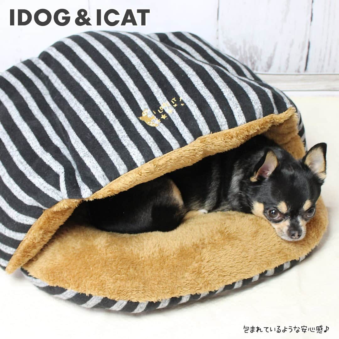 iDog&iCatさんのインスタグラム写真 - (iDog&iCatInstagram)「📢 寒い日が続きますね。 idog地方ではそろそろ雪が降りそうです❄️ ・ さて、そんな寒い日に備えて、あったか〜いベッドはいかがですか？ IDOG&ICATの「Botania かくれんぼクッション」は、すっぽりと包み込むこむようなショル型ベッドです🛌 ・  布団に潜り込む感覚に近い形はペットに安心感をあたえてくれます。 ・ 中のクッション部分はふんわり柔らかい厚手の無地の両面フリース素材を使用しました。 . ふんわりベッドで愛犬・愛猫に心地よい眠りを…。 ・ 無地のふわふわ部分には保湿・毛艶アップのBotania加工が施された素材を使用しています。 べたつかない簡単保湿で、乾燥を防ぎ静電気を防止します。  ペットに優しい植物由来、iDogだけの保湿加工で、ペットとの快適な生活をサポートします。 ・ もちろん、ネコちゃんにもオススメです😺✨ SサイズとMサイズをご用意しておりますので、サイズのご確認をお忘れなく☺️ ・  https://item.rakuten.co.jp/idog/c/0000000127/ ・ #idogicat #idog #icat #ベッド #ペットベッド #あったかベッド #防寒対策📢 寒い日が続きますね。 idog地方ではそろそろ雪が降りそうです❄️ ・ さて、そんな寒い日に備えて、あっか〜いベッドはいかがですか？ IDOG&ICATの「Botania かくれんぼクッション」は、すっぽりと包み込むこむようなショル型ベッドです🛌 ・  布団に潜り込む感覚に近い形はペットに安心感をあたえてくれます。 ・ 中のクッション部分はふんわり柔らかい厚手の無地の両面フリース素材を使用しました。 . ふんわりベッドで愛犬・愛猫に心地よい眠りを…。 ・ 無地のふわふわ部分には保湿・毛艶アップのBotania加工が施された素材を使用しています。 べたつかない簡単保湿で、乾燥を防ぎ静電気を防止します。  ペットに優しい植物由来、iDogだけの保湿加工で、ペットとの快適な生活をサポートします。 ・ もちろん、ネコちゃんにもオススメです😺✨ SサイズとMサイズをご用意しておりますので、サイズのご確認をお忘れなく☺️ ・  https://item.rakuten.co.jp/idog/c/0000000127/ ・ #idogicat #idog #icat #ベッド #ペットベッド #あったかベッド #防寒対策」11月28日 16時59分 - idogicat