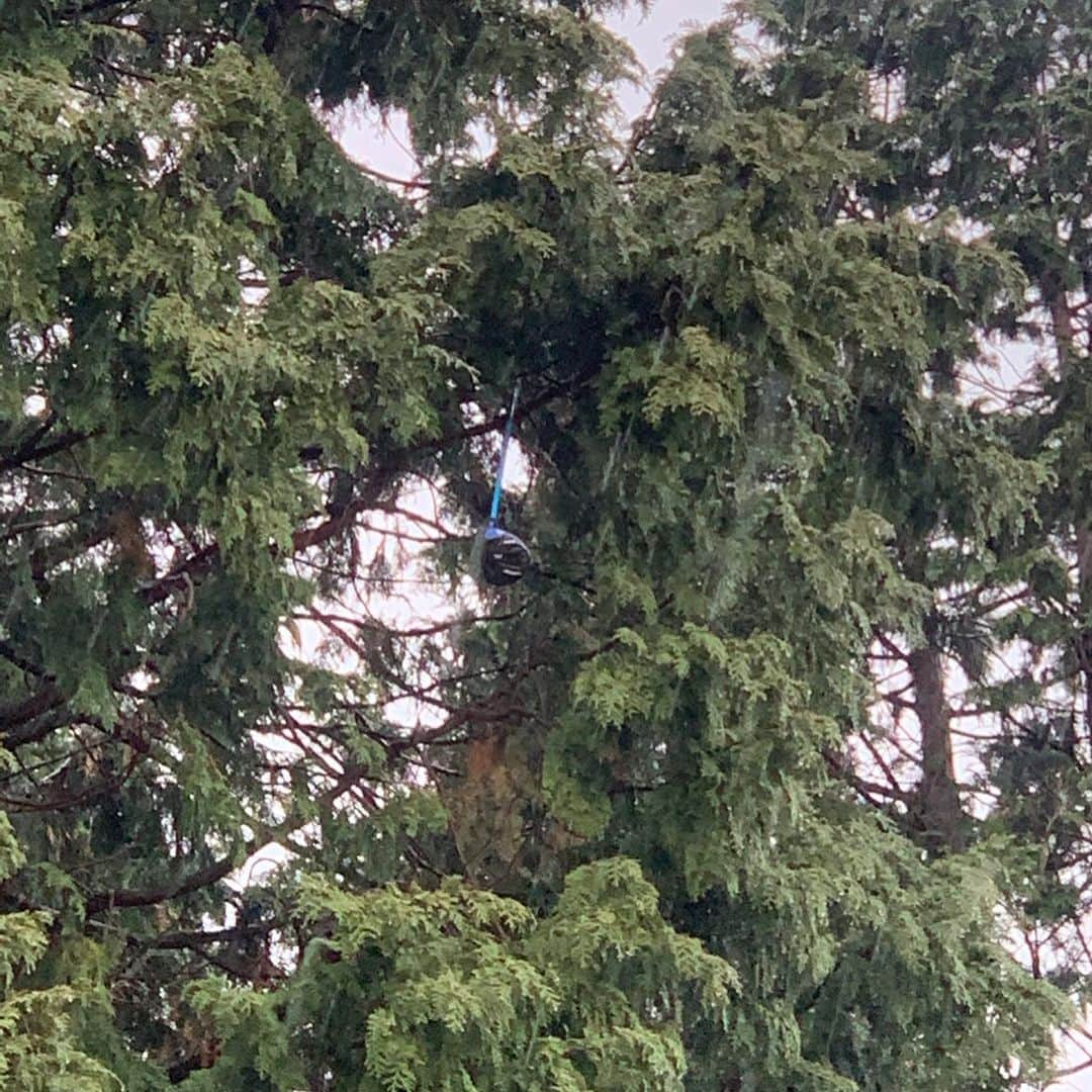 十亀剣のインスタグラム：「今日は雨の中 裏方ゴルフ会でした。 まさかの出来事が起きました… 見えるかな？分かるかな？笑  #ゴルフ #3番ウッド  #すっぽ抜けて木の枝となる… #その後 #ドライバー #同じ様に川に飛んでいき #無くなる #明日は #アイアンのみで #選手会コンペ」