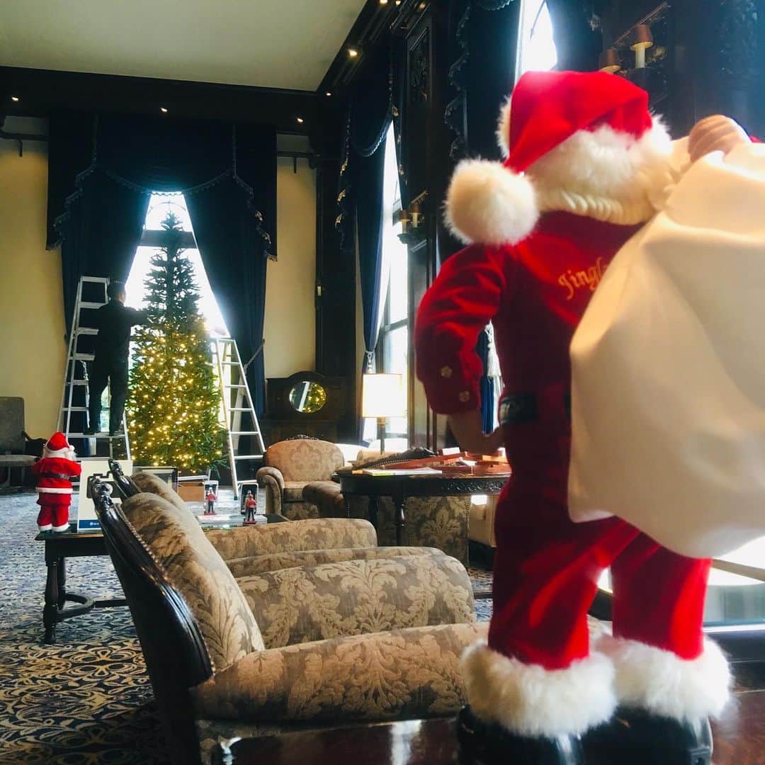 【公式】ホテルニューグランドさんのインスタグラム写真 - (【公式】ホテルニューグランドInstagram)「クリスマスの名プロデューサーによる指揮のもと、準備が着々と進められております！  #ホテルニューグランド #横浜 #ホテル #クリスマス #クリスマスツリー #ロビー #サンタさん #クリスマスデコレーション #12月 #飾り #雪だるま #くま #ノスタルジック #イルミネーション #メリークリスマス #プレゼント #クリスマス準備 #模様替え #おうち #写真映え #飾り付け #ディスプレイ #インテリア小物 #週末デート #サンタクロース #hotelnewgrand #yokohama #christmas #illumination」11月28日 17時37分 - hotelnewgrand