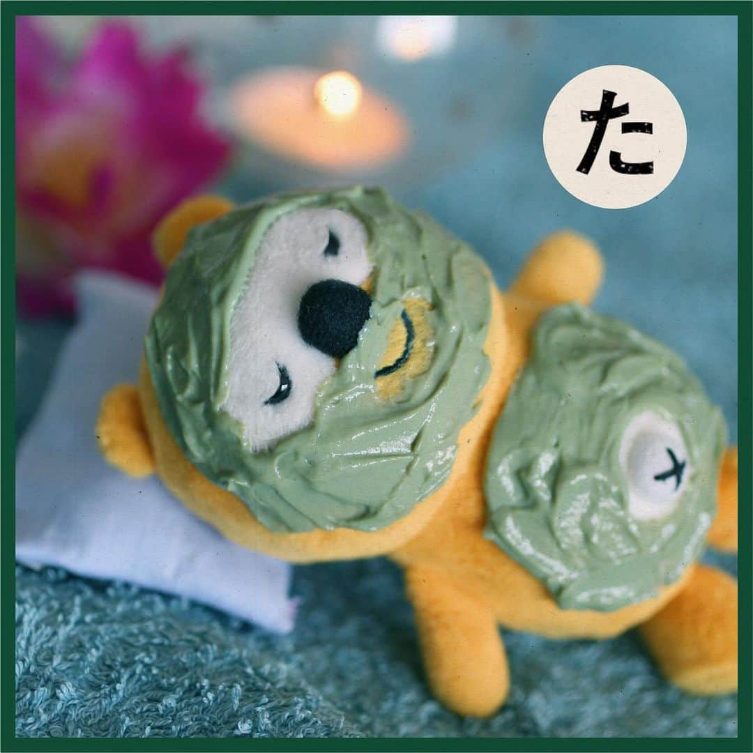 ポンタのインスタグラム：「. . #ポンタかるた #読み札の文言をあててみてね ! . . . . 「た」 . . 左にスワイプ⬅︎してね! . . . . . . . . . たぬき寝入りで　タラソテラピー. . . . . ( ˘ω˘)ｽﾔｧ. . . #かるた #かるた部 ＃タラソテラピー #たぬき #たぬき寝入り #さっぱり #癒し #ミネラル補給 #リラックスタイム #血行促進 #美肌 #健康美 #健康オタク#ponta #ポンタ #ぬい撮り #ちょっこりさん #ポンスタグラム #撮りポン」