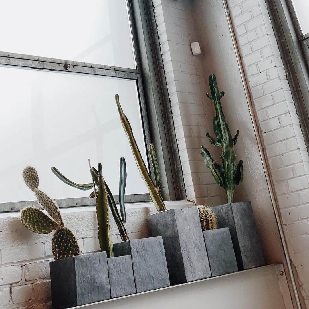 mixmatchisthekeyのインスタグラム：「🌵」