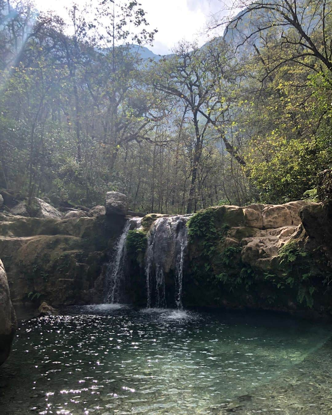 アレハンドラ・ジャネサさんのインスタグラム写真 - (アレハンドラ・ジャネサInstagram)「A little hike for the body, mind, spirit, soul, and everything in between 💚 and this time a waterfall chased me and made me jump in 😆. So thankful for friends who share my craziness and make this such a fun ride ❤️ ••• Caminata para el cuerpo, mente, alma y todo lo demás. Muy agradecida con la vida por poner en mi camino amigos que compartan mi locura y que me enseñan cosas nuevas cada día ❤️🙌🙏 #grateful yes... #blessed #mountain #protection #alive #grounding #coldwater #soworthit #heartexplosion #🌟 aaaand #fullmoon #serendipity #expansion」12月13日 13時09分 - alellaneza