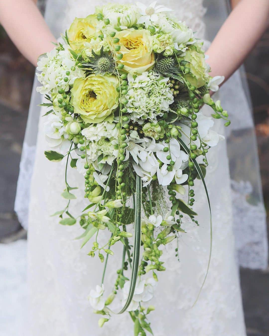 オテル・ドゥ・ミクニ(ウェディング)公式のグルメインスタ