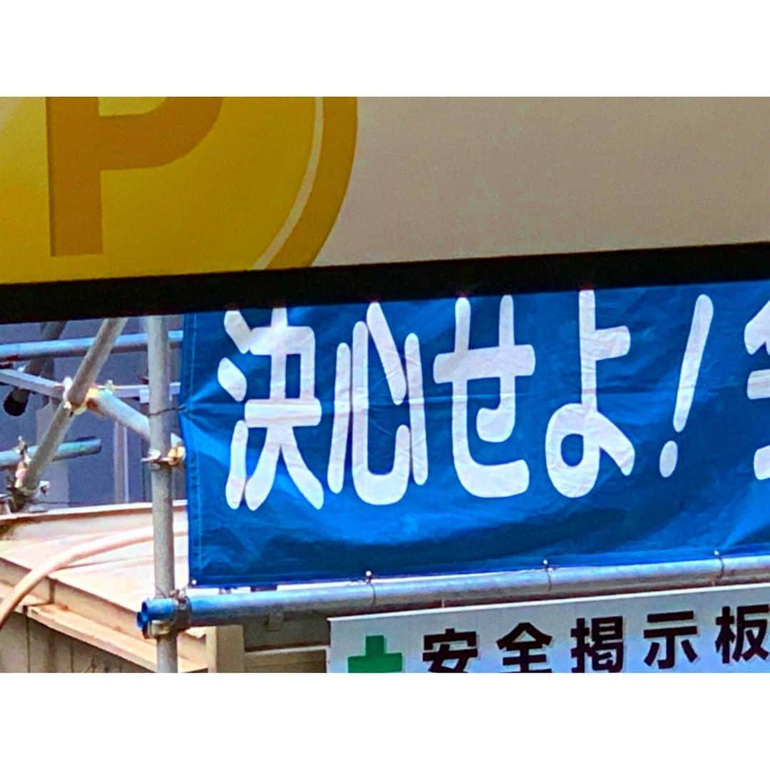 椎木知仁さんのインスタグラム写真 - (椎木知仁Instagram)「閃いた　しっかりめに」12月13日 6時17分 - siikimhib