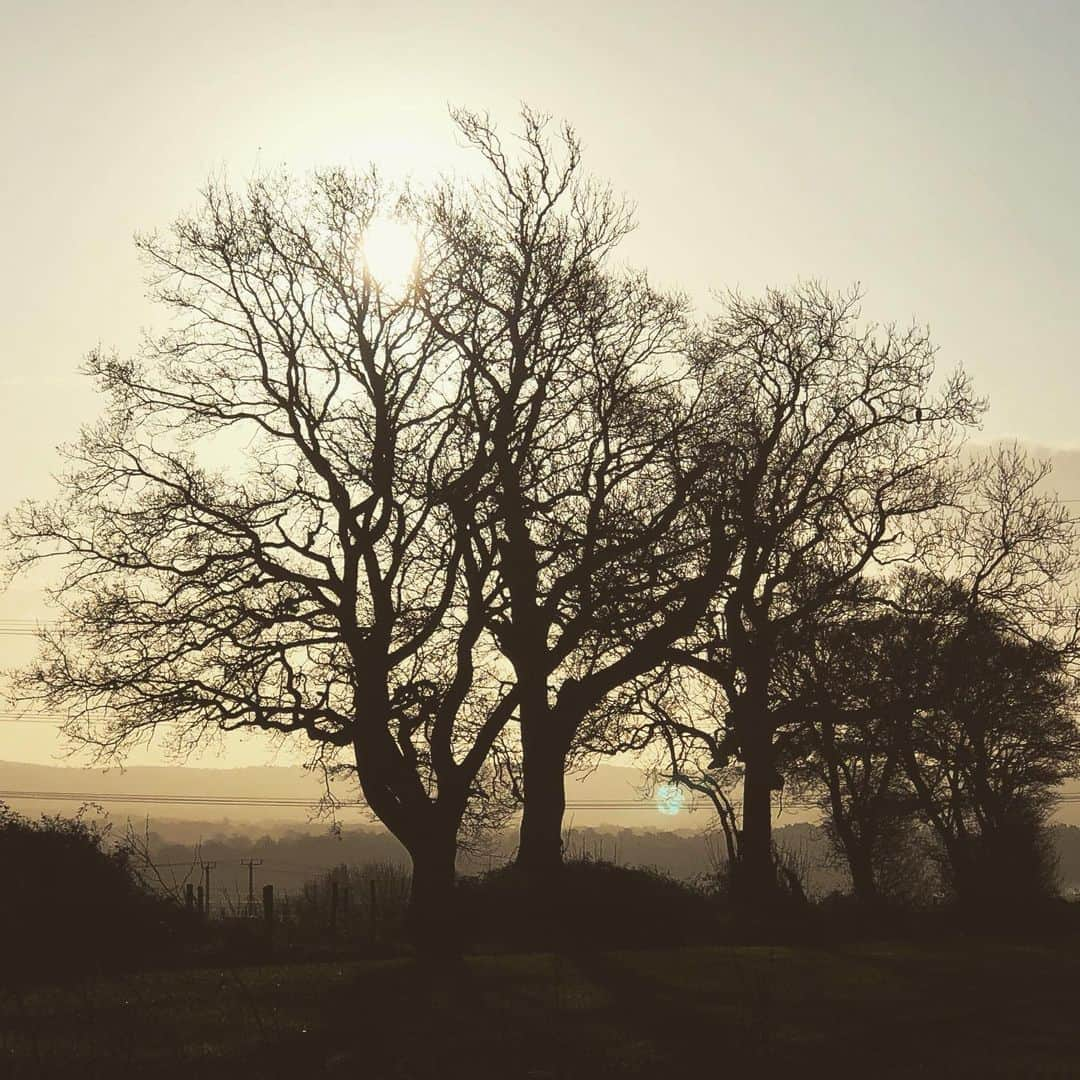 ポール・ブラックソーンさんのインスタグラム写真 - (ポール・ブラックソーンInstagram)「Mad dog & Englishman go out for a morning walk.」12月13日 8時00分 - paulblackthorne