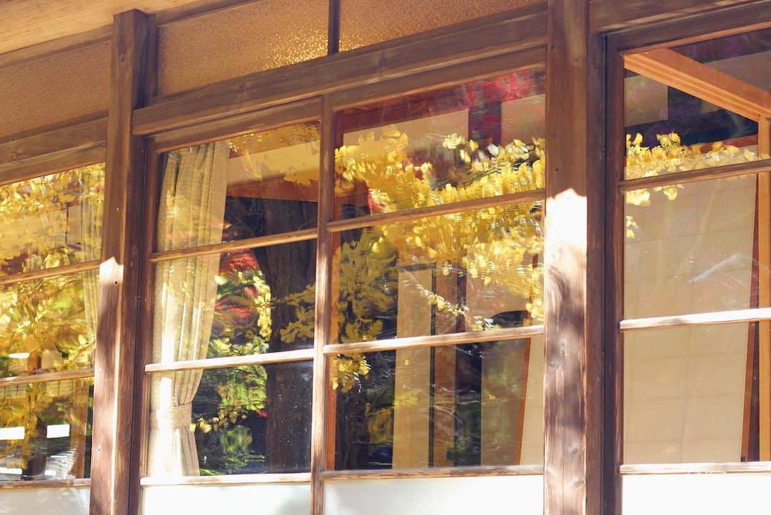 yukaさんのインスタグラム写真 - (yukaInstagram)「yellow 𖥧𖥧 ・ ・ ・ #igersjp #instagramjapan #ig_japan  #team_jp_ #いちょう #日本の風景 #ilovejapan」12月13日 8時18分 - yuka_ff