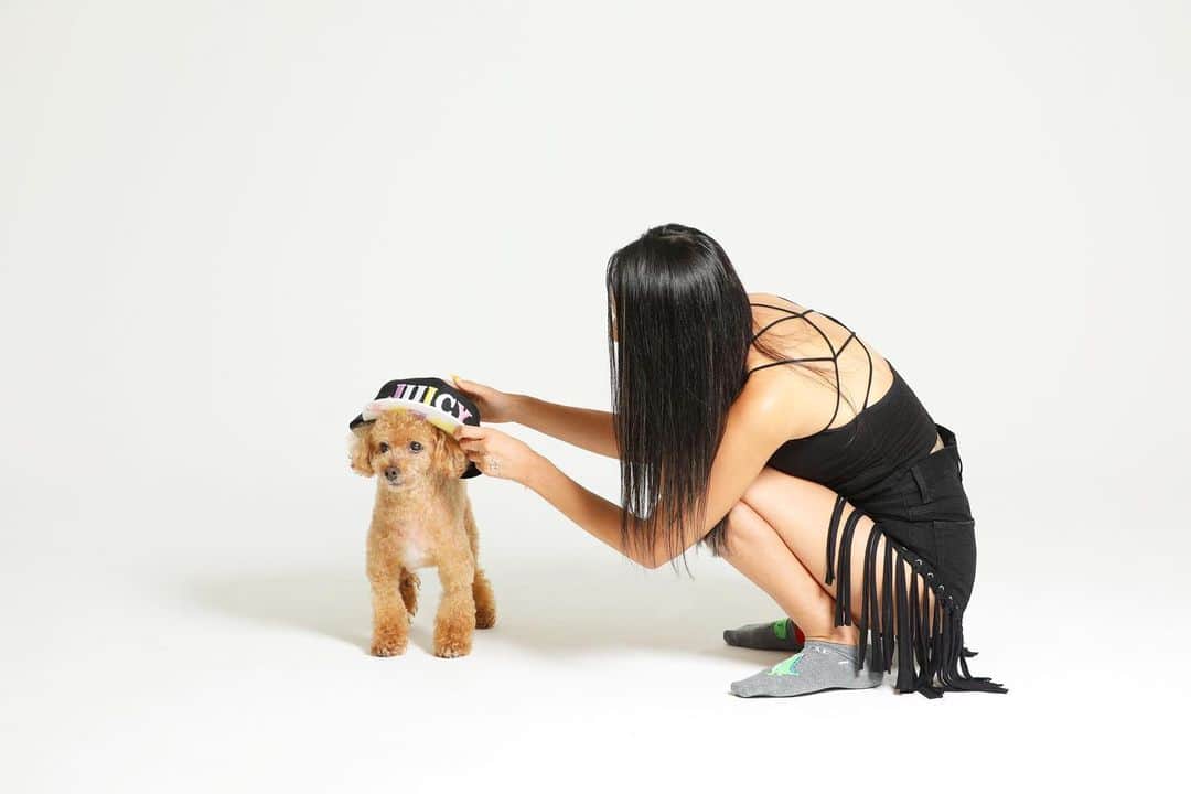 DJ JUICYのインスタグラム：「モデルさんのポージングが決まるまでの様子...💁🏻‍♀️🐩💙📸✨😍 #dog#dogstagram#dogsofinstagram#instadog#toypoodle#toypoodlelife#toypoodlelove#love#model#juicy#juicykun#トイプー#トイプードル13歳#ホントは人間#撮影」