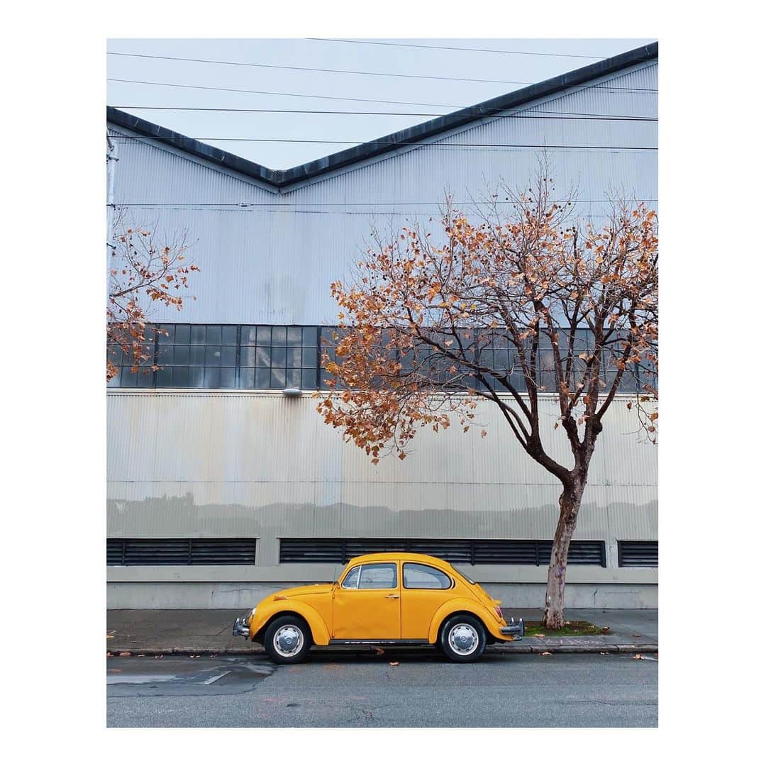 Melissa Santiagoさんのインスタグラム写真 - (Melissa SantiagoInstagram)「Bright spot on the drizzly day (week, month.) #CarsNTrees #AutosOfTheMission #vwbeetle #Volkswagen #volkswagenbeetle」12月13日 9時47分 - shortformelissa