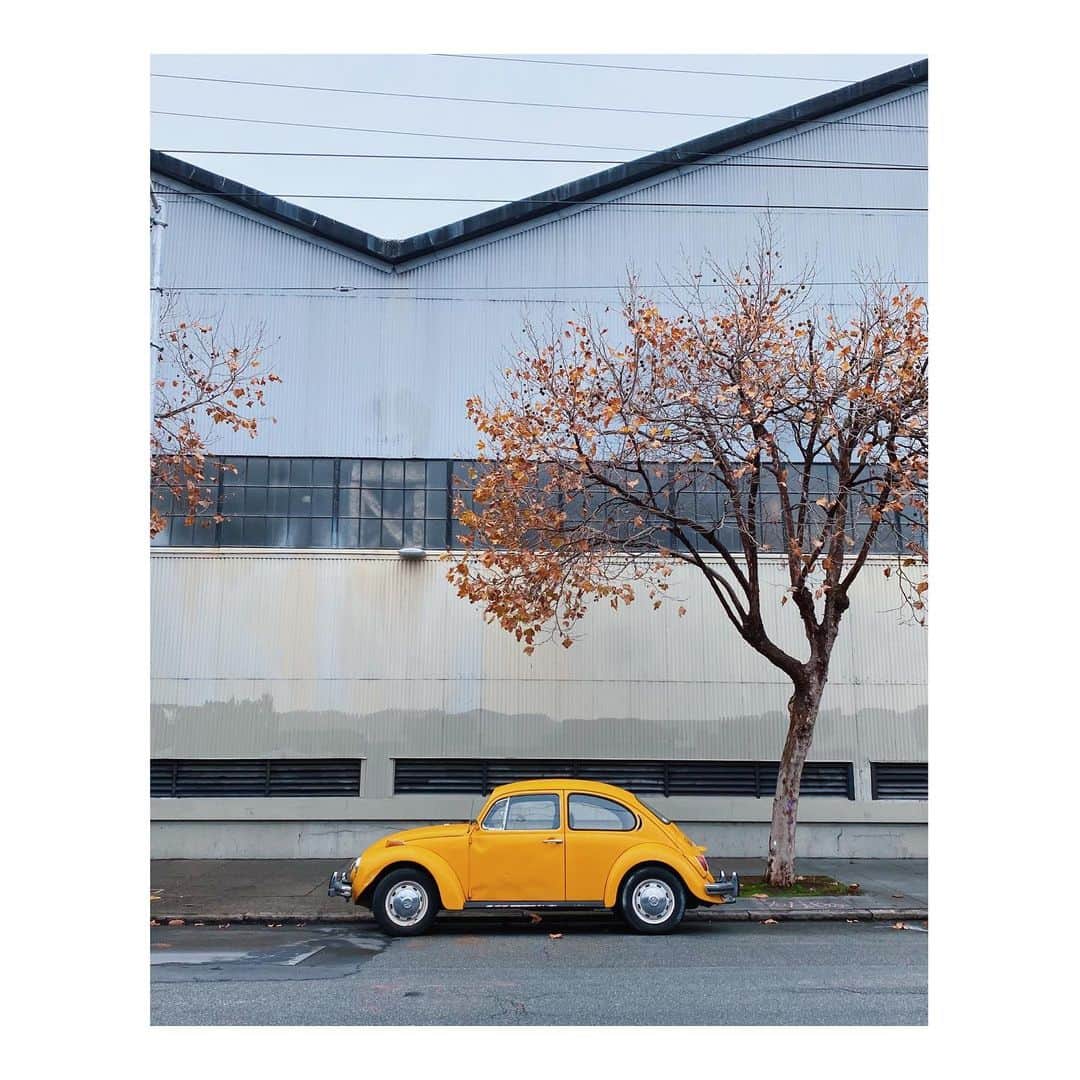 Melissa Santiagoのインスタグラム：「Bright spot on the drizzly day (week, month.) #CarsNTrees #AutosOfTheMission #vwbeetle #Volkswagen #volkswagenbeetle」