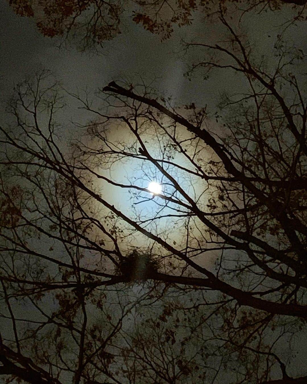 風間ゆみえさんのインスタグラム写真 - (風間ゆみえInstagram)「いろんなものに見えた  待宵の月  満ちる前のこの月が好きです。」12月13日 9時58分 - yumie_kazama