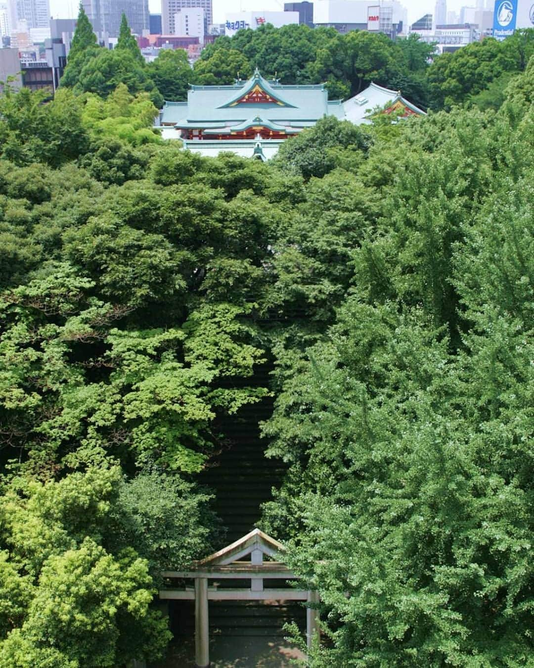 コンラッド東京 ウエディングのインスタグラム：「【1月13日】日枝神社式ブライダル相談会  日本の政治経済の中心地・永田町の一角に広がる緑の社「日枝神社」伝統を受け継ぐお社での凛とした神前結婚式と、自由な演出、繊細なコーディネートが世界に一つだけの幸せな空間をつくりだすコンラッド東京でのご婚礼の1日をご提案いたします。  #コンラッド東京 #コンラッド花嫁 #プレ花嫁 #ホテル #汐留 #東京 #日本 #新橋 #銀座 #結婚 #結婚式 #ウエディング #ブライダル #日枝神社 #結納 #お顔合わせ #顔合わせ #神前式 #着物 #神社」