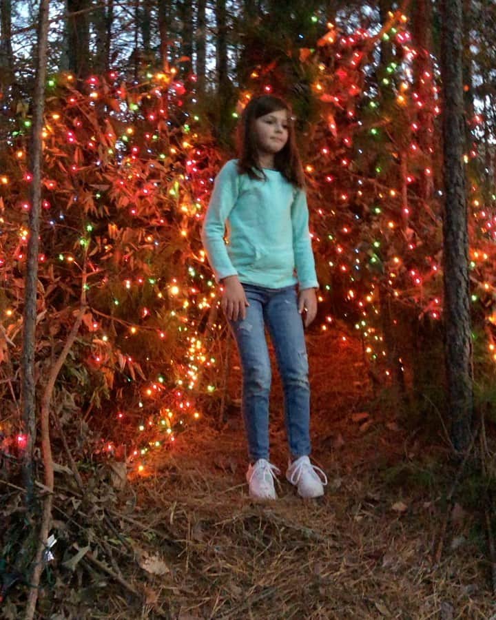 Angie Keiserのインスタグラム：「Her Survivor shelter got a holiday makeover. I blame that show @nbcmakingit because she referred to the shelter makeover as her “faster craft” today.」