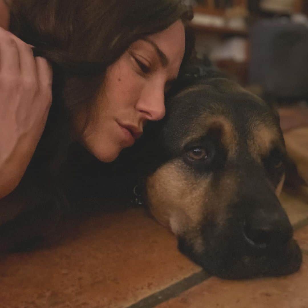 ブリアナ・エヴィガンのインスタグラム：「Nothin like him... every time I have to leave him it kills me. It’s like he can feel the travels coming. The most unconditional lovers dogs are. He teaches me things no human ever could. 🧡 #maxthecomebackdog」