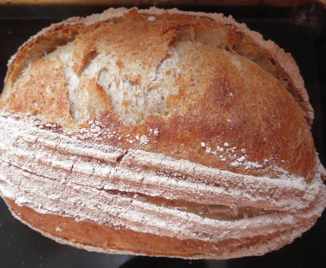 魔女菅原のグルメインスタ