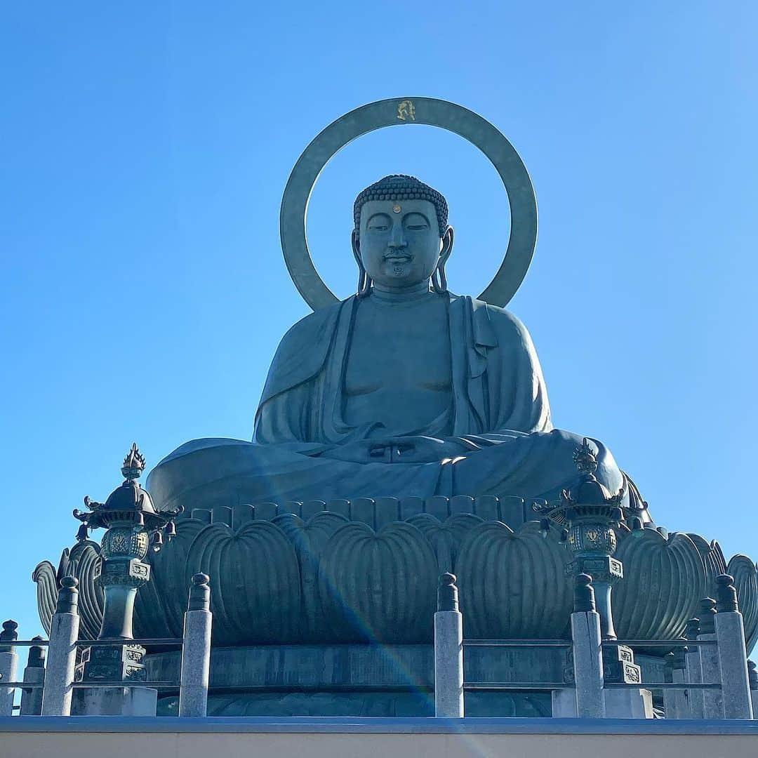 得あゆさんのインスタグラム写真 - (得あゆInstagram)「富山の高岡にある高岡大仏✨ 小学校ぶりとかに見た！笑 私のインスタ富山のフォロワーさんどのくらいいるのかなー？？？😍 (ムービーに映り込んでる紅白の司会者みたいな赤い人はお父さんです。笑) ・ ・ ・ ・ ・ ・ ・ #還暦#還暦祝い#赤#ドレスコード#誕生日#誕生日サプライズ#お祝い#富山県#富山#高岡大仏#観光#旅行#富山旅行#家族旅行#女子旅#インスタ映え#ワンピース#スーツ#派手#お洒落#写真#クリスマス#ジャケットコーデ #red#suits#onepiece#dresscode#toyama#japanesegirl#travel」11月28日 19時53分 - tokuayu819