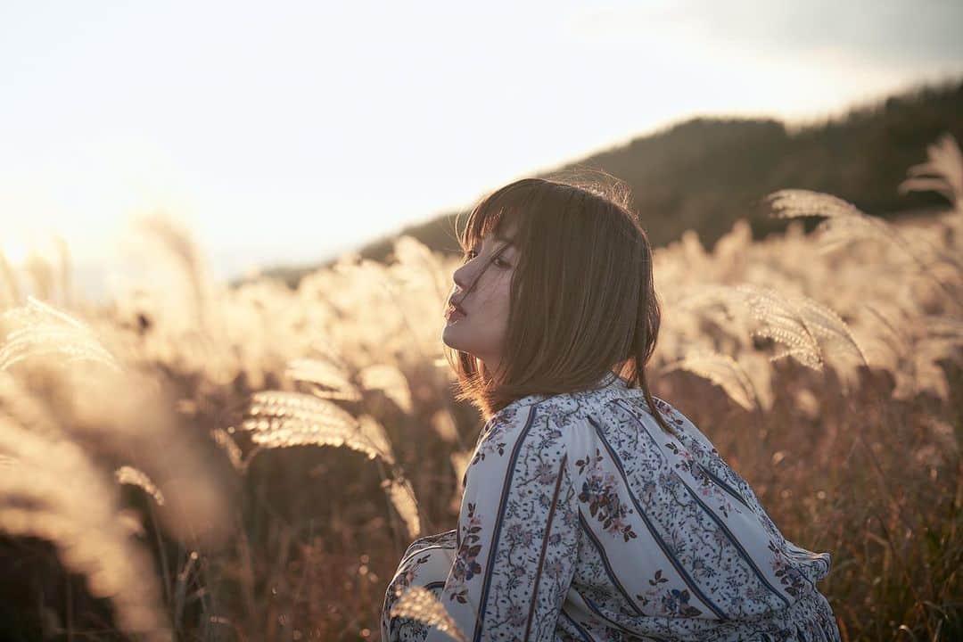 haraoのインスタグラム：「ススキは生石高原派です🌾」