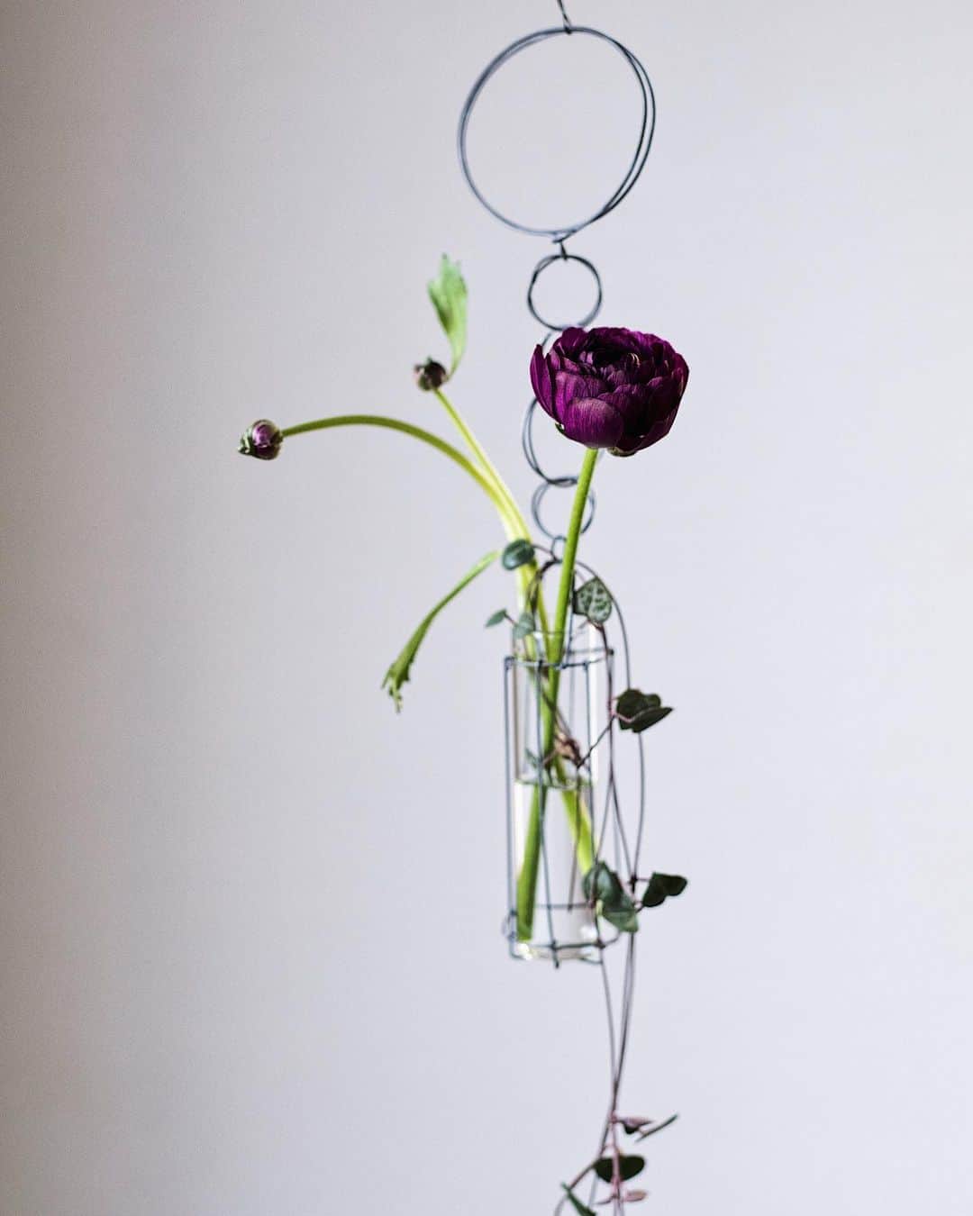 増田由希子さんのインスタグラム写真 - (増田由希子Instagram)「Wire vases. #mywork #wirevase #vase #handmade : : : ＜ラジオ番組についてお知らせです＞ 明日11/29（金）、12/6（金）放送予定の「TOKYO FM ノエビア　ボタニカルライフ」にてワイヤー作品、発売中のカレンダー、花と写真のことなどお話をさせていただきました。  また、番組にメッセージをお寄せいただいた方の中から抽選で10名様に「花のある暮らしカレンダー」のプレゼントをご用意しています。 お聞きいただきましたら幸いです。: :: : 「 ノエビア　ボタニカルライフ」 TOKYO FM (80.0MHz)  放送日  11/29（金）、12/6（金） オンエア時間　8時35分くらい〜（放送時間15分） Web site: https://www.tfm.co.jp/botanical/」11月28日 20時02分 - nonihana_