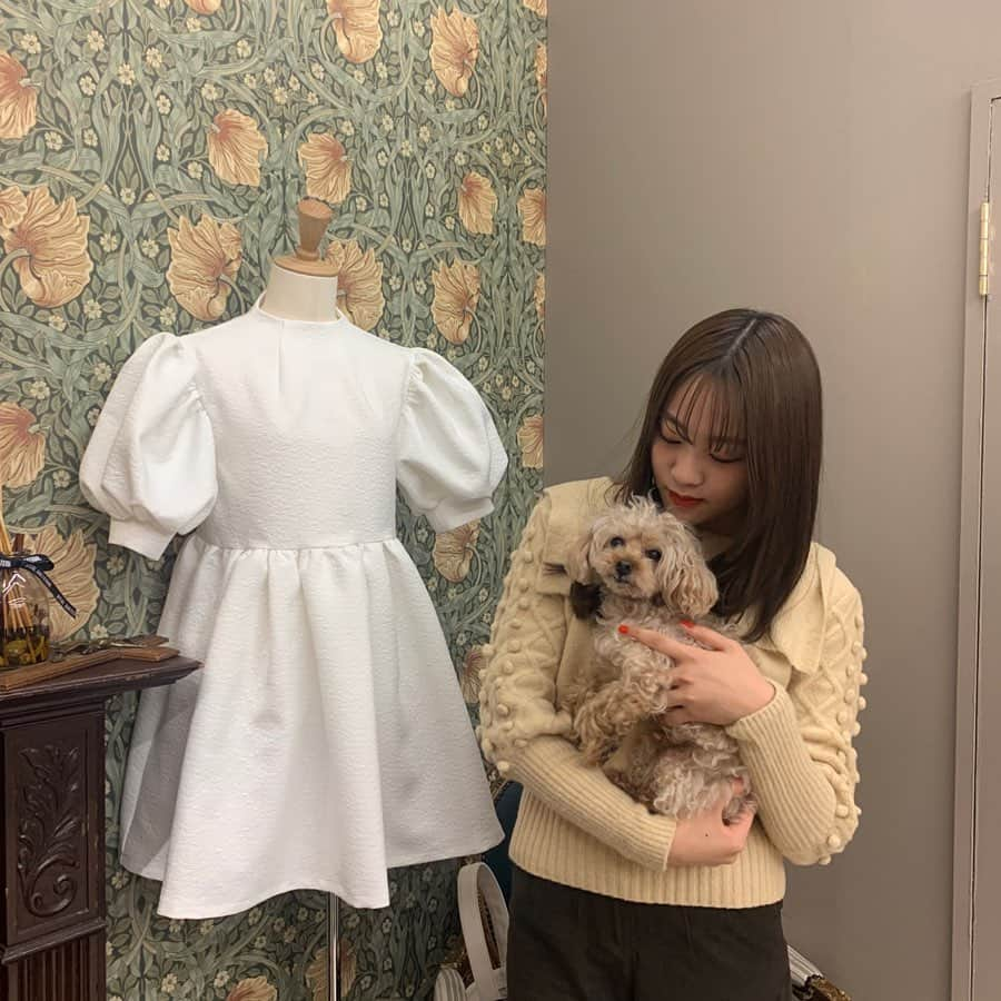 moca さんのインスタグラム写真 - (moca Instagram)「@honeymihoney_official の展示会~﻿ みかさんのワンちゃんが可愛すぎて、、🐶❤️🤦🏻‍♀️ このニットもhoneymihoney☺︎☺︎☺︎ ﻿ ﻿ #lol #avex #moca #エルオーエル #honeymihoney」11月28日 20時05分 - moca_lol