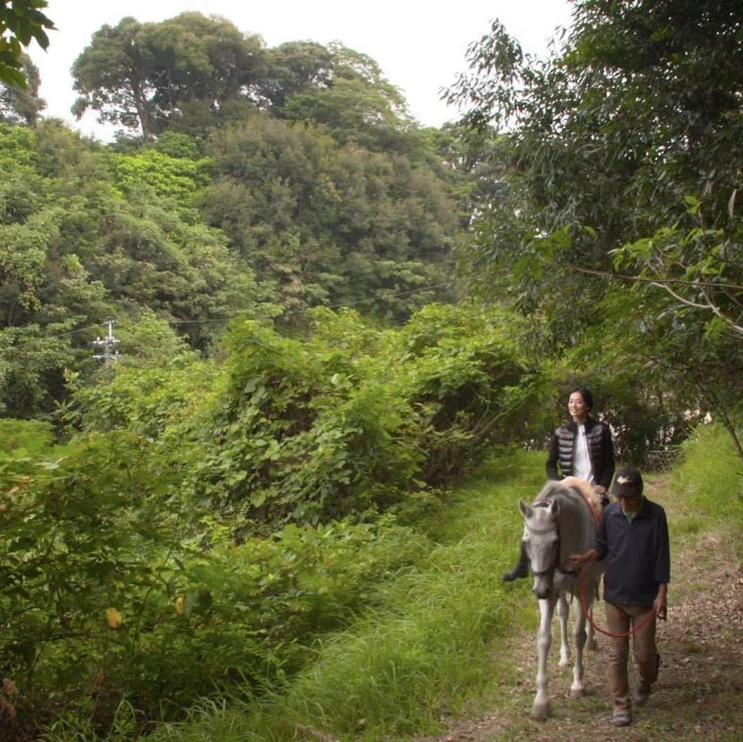 フジテレビ「空旅をあなたへ」さんのインスタグラム写真 - (フジテレビ「空旅をあなたへ」Instagram)「今週木曜２２：５４分〜の「空旅をあなたへ」は、 女優・原沙知絵さんの宮崎の空旅です✈️✨ 温かな日が降り注ぐ日向の国、宮崎。  今回訪れるのは「清武ホースパーク」。 穏やかな風に包まれながら 馬に触れ、心をほぐす、 ホースセラピーが愉しめます。  原さんも 馬と触れ合い、心をかよわせ、 木洩れ日の森をお散歩🐴  豊かな自然に心うるおす、 宮崎の空旅です😊✨ 是非ご覧下さい！  #フジテレビ  #空旅  #空旅をあなたへ ‪#soratabi‬ #原沙知絵 さん #清武ホースパーク  #宮崎  #ホースセラピー」11月28日 20時09分 - soratabi_fuji