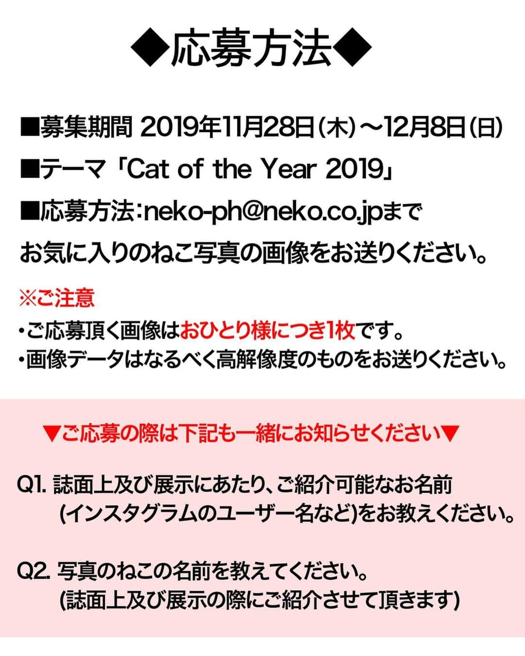 ねこさんのインスタグラム写真 - (ねこInstagram)「みんなぁぁぁぁぁあ❣️お久しぶりの【インスタ企画】やっちゃうよおぉぉ❣️🔥 でんっ❣️その名も❣️ 「令和元年ベストネコショットはこれだ❣️Cat of the  year✨2019」でする😎🔥 2019年も間も無く終わるね😭ってことで❣️今年撮れた最高に可愛い、最強の愛ねこショットを大大大募集します📸💕 ご応募頂いた中から、選ばれた方は2020年1月11日(土)発売予定の「ねこ 113号」にてご紹介させて頂きます♫📖 また、2020年に行うNEKONOBAイベントなどで、ポスターやパネル等に使用させて頂く可能性もありますので、ご理解の上ご応募くださいな 🥺✨ 応募方法は2枚目の写真をご確認ください🙏募集期間は今日から12月8日(日)まで❣️🔥印刷可能な高解像度のものをお送りください🥰📸 ご応募頂いた写真は我々ねこ編集部にて先行させて頂きます😝🙏💨 皆さま、どうぞお気軽にご応募くださいっ❣️❣️最高に可愛い2019年イチのネコベストショット、私たちにも見せてくださ〜い❣️😁❤️どしどしお待ちしてますっ(^o^) #neko_magazine #NEKONOBA #ねこマガジン #ネコノバ #ねこ #猫 #cat #catstagram #cat #ネコ」11月28日 20時25分 - neko_magazine